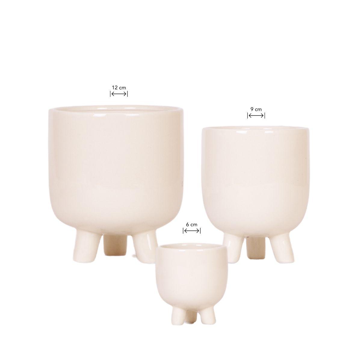 Kolibri Home | Combi deal en pot. Plante verte type Kolibri Home | Combi deal, livrée en pot, idéale pour intérieur lumineux.