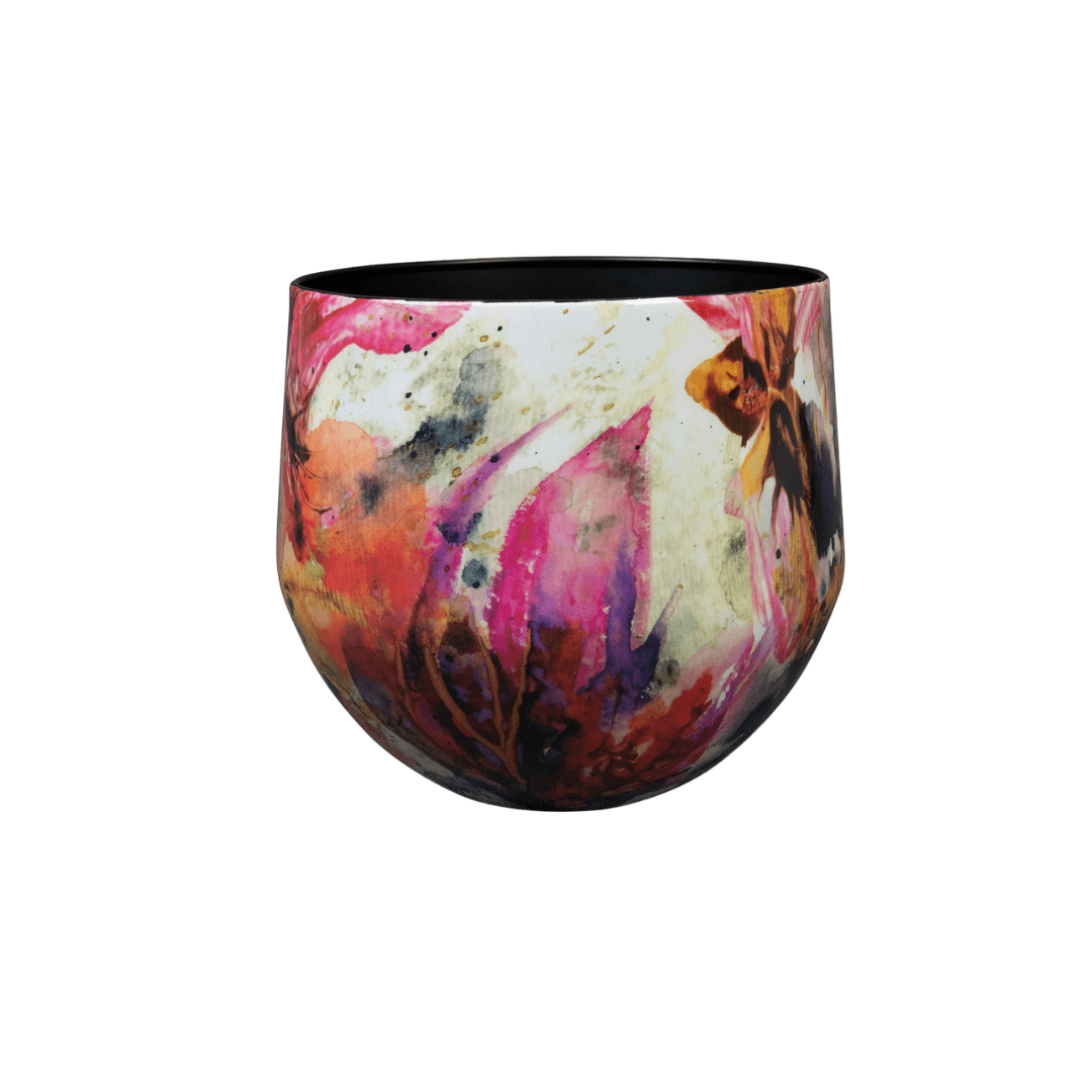 Sweet magnolia D28 x H25 en pot  Hauteur 25cm. Plante verte type Sweet magnolia D28 x H25, livrée en pot, idéale pour intérieur lumineux.