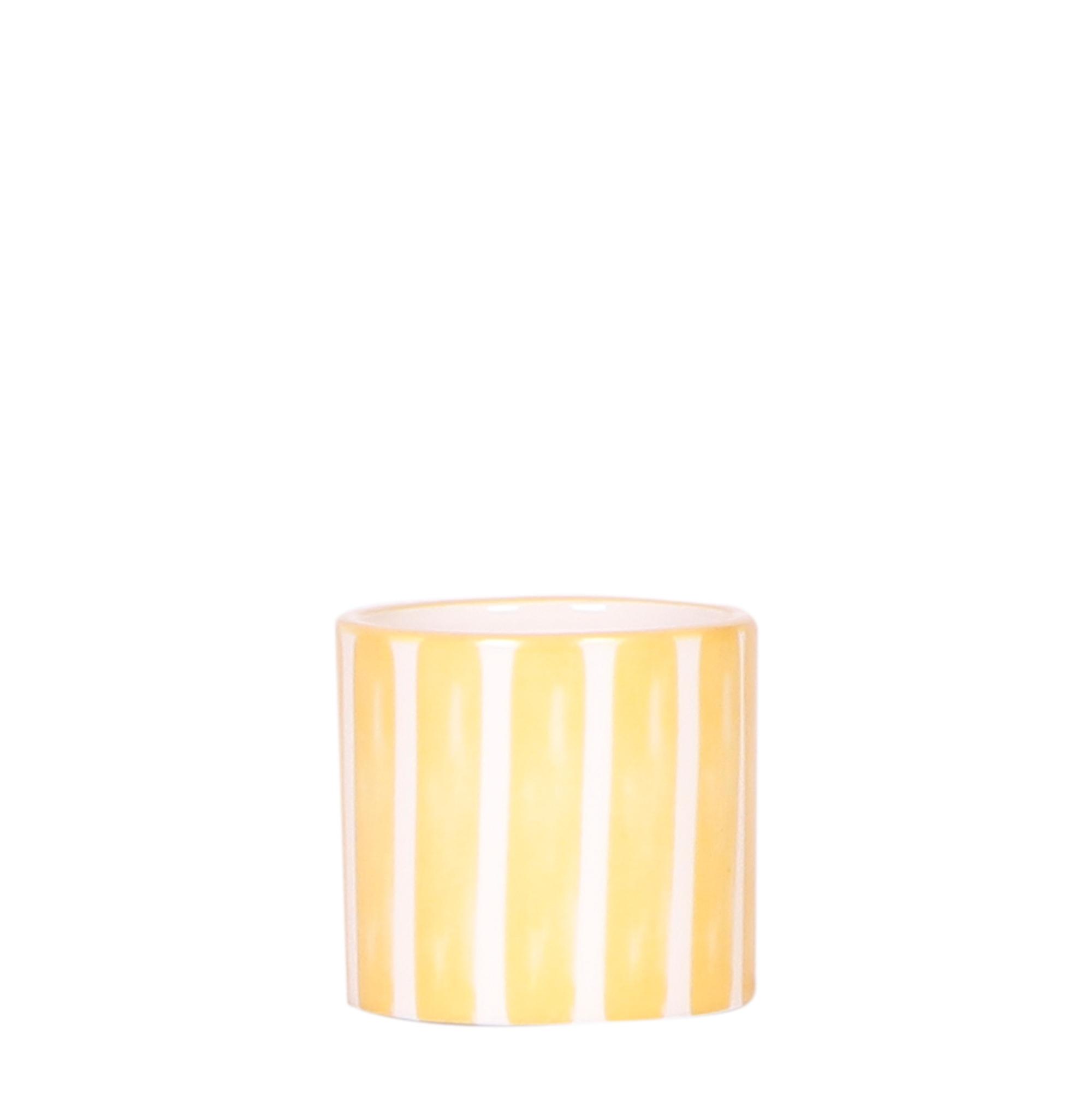 Kolibri Home | Painted stripe en pot Ø6cm. Plante verte type Kolibri Home | Painted stripe, livrée en pot, idéale pour intérieur lumineux.