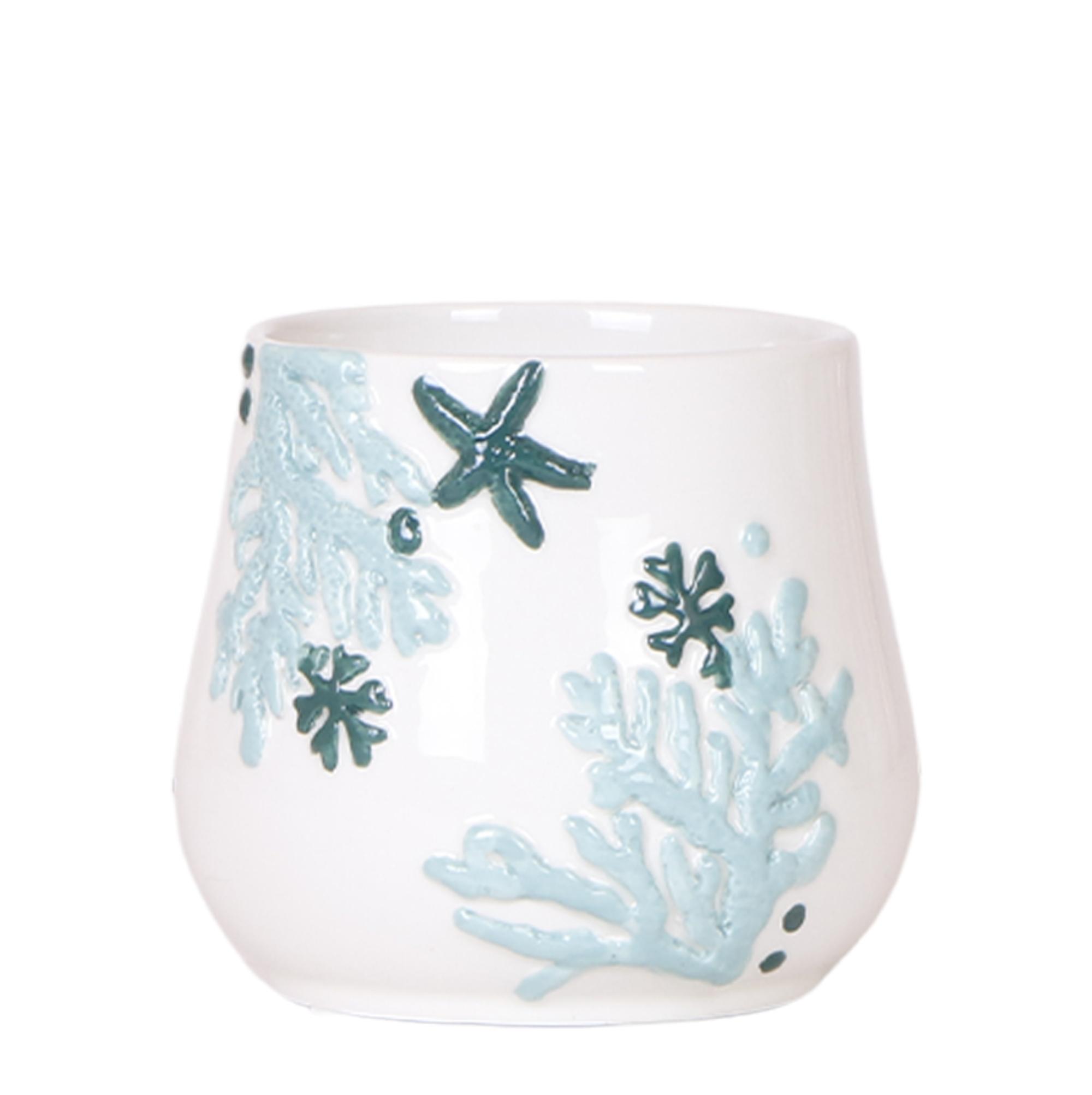Kolibri Home | Coral en pot Ø9cm. Plante verte type Kolibri Home | Coral, livrée en pot, idéale pour intérieur lumineux.