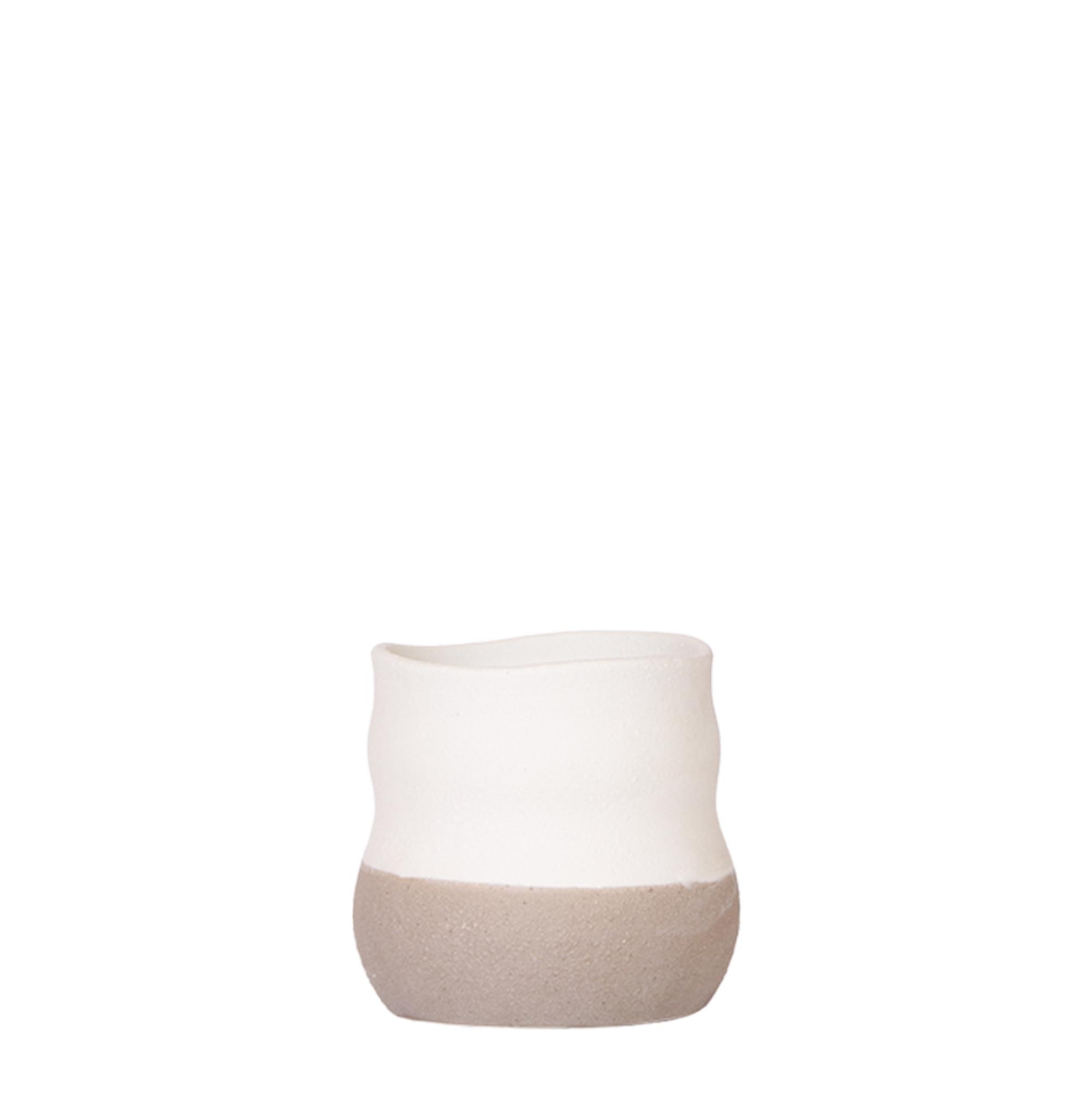 Kolibri Home | Imperfect bag en pot Ø9cm. Plante verte type Kolibri Home | Imperfect bag, livrée en pot, idéale pour intérieur lumineux.