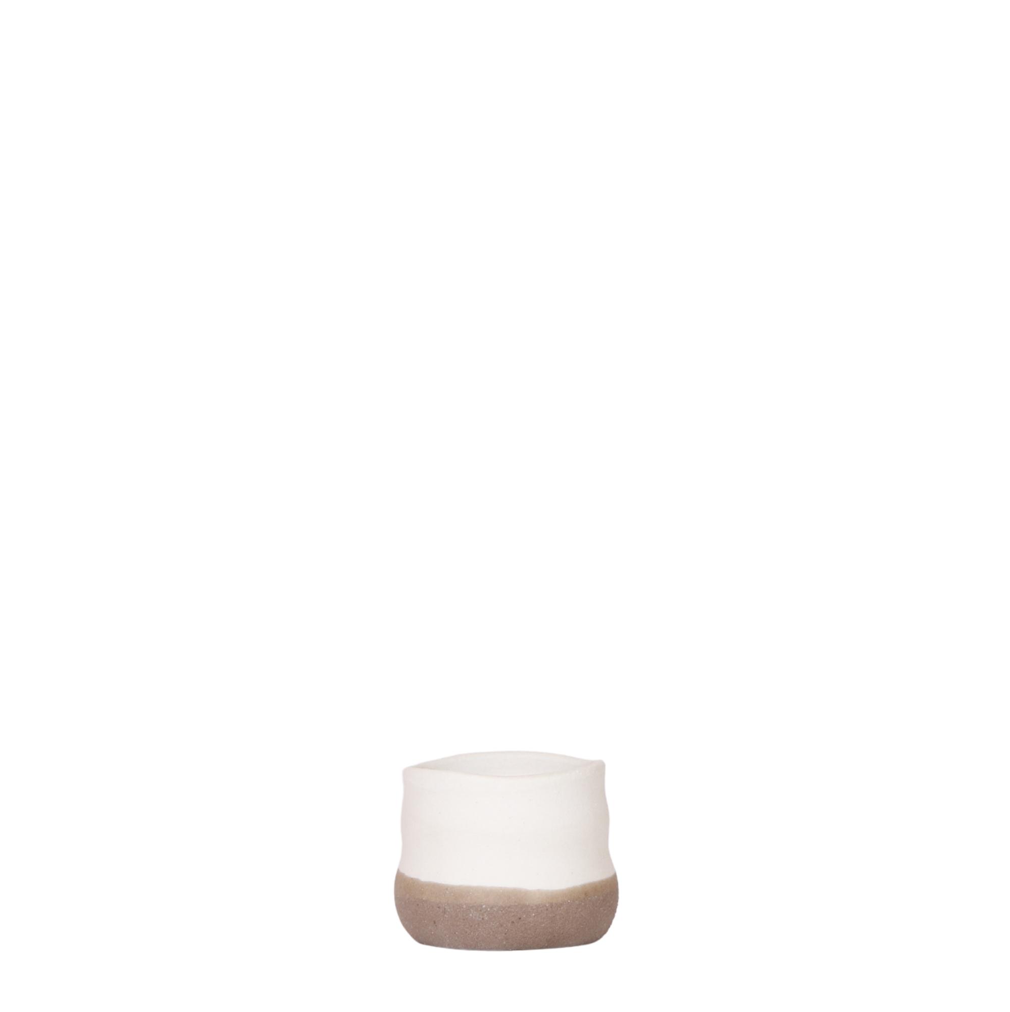 Kolibri Home | Imperfect bag en pot Ø6cm. Plante verte type Kolibri Home | Imperfect bag, livrée en pot, idéale pour intérieur lumineux.