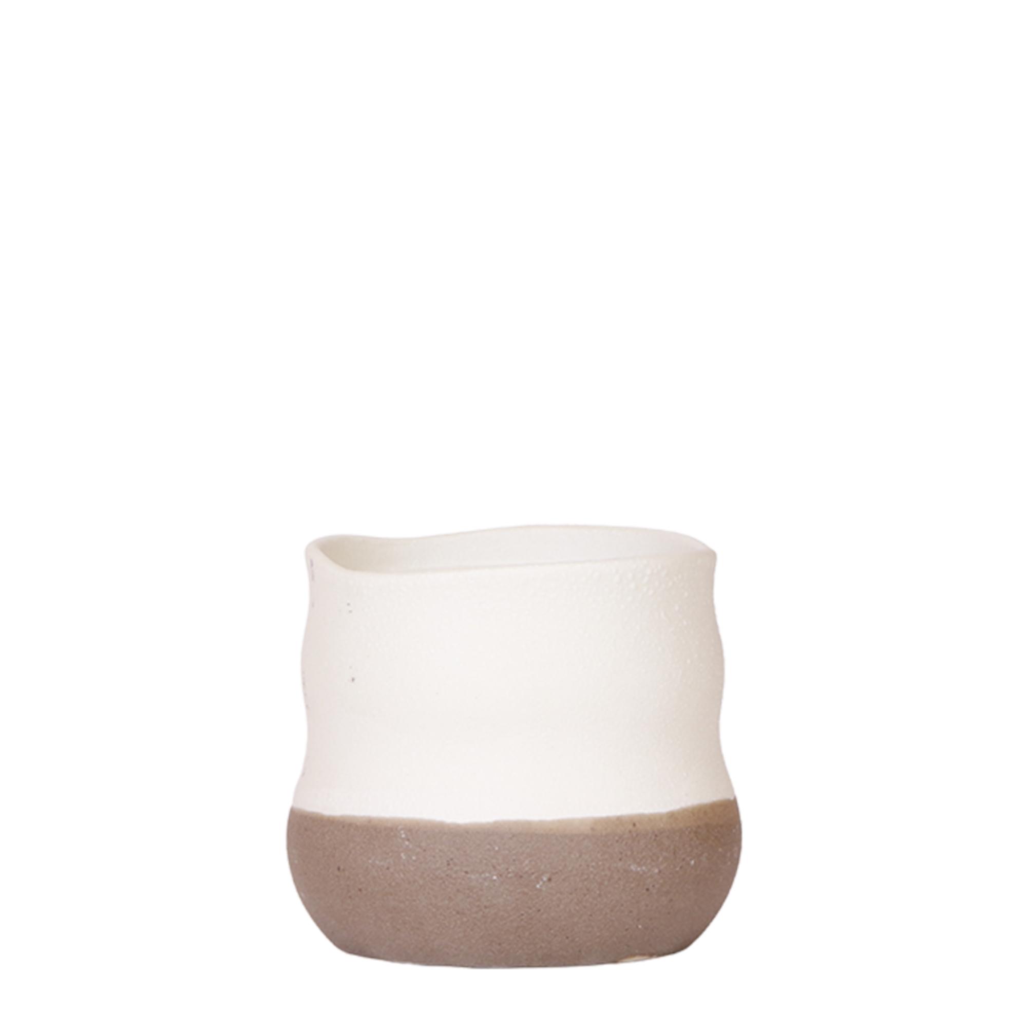 Kolibri Home | Imperfect bag en pot Ø12cm. Plante verte type Kolibri Home | Imperfect bag, livrée en pot, idéale pour intérieur lumineux.