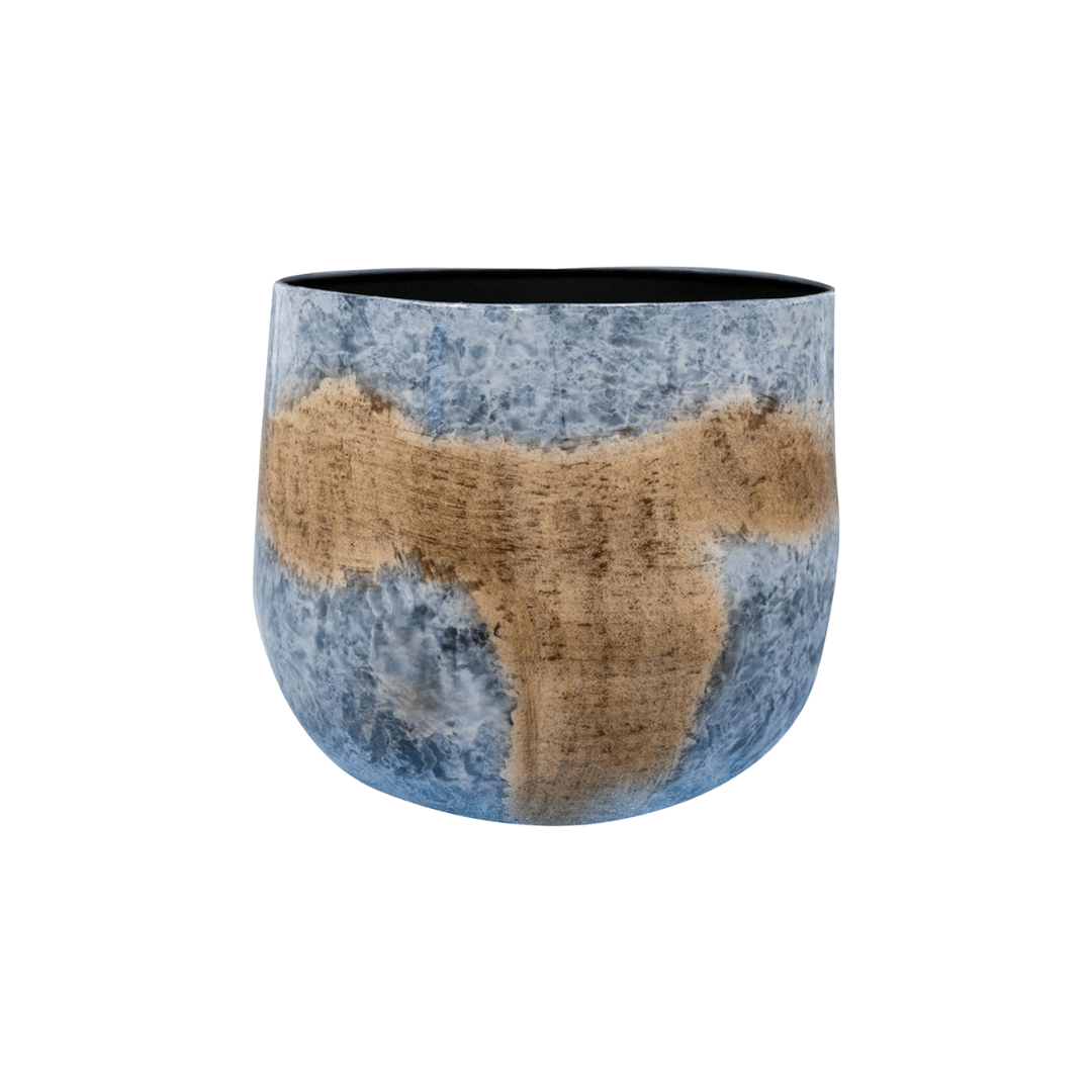 Marino Beach D24 x H21 en pot  Hauteur 21cm. Plante verte type Marino Beach D24 x H21, livrée en pot, idéale pour intérieur lumineux.
