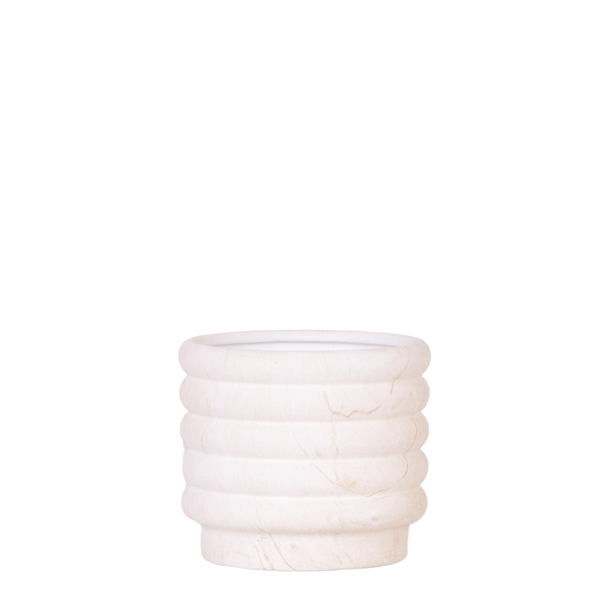 Kolibri Home | Marble pot en pot Ø12cm. Plante verte type Kolibri Home | Marble pot, livrée en pot, idéale pour intérieur lumineux.