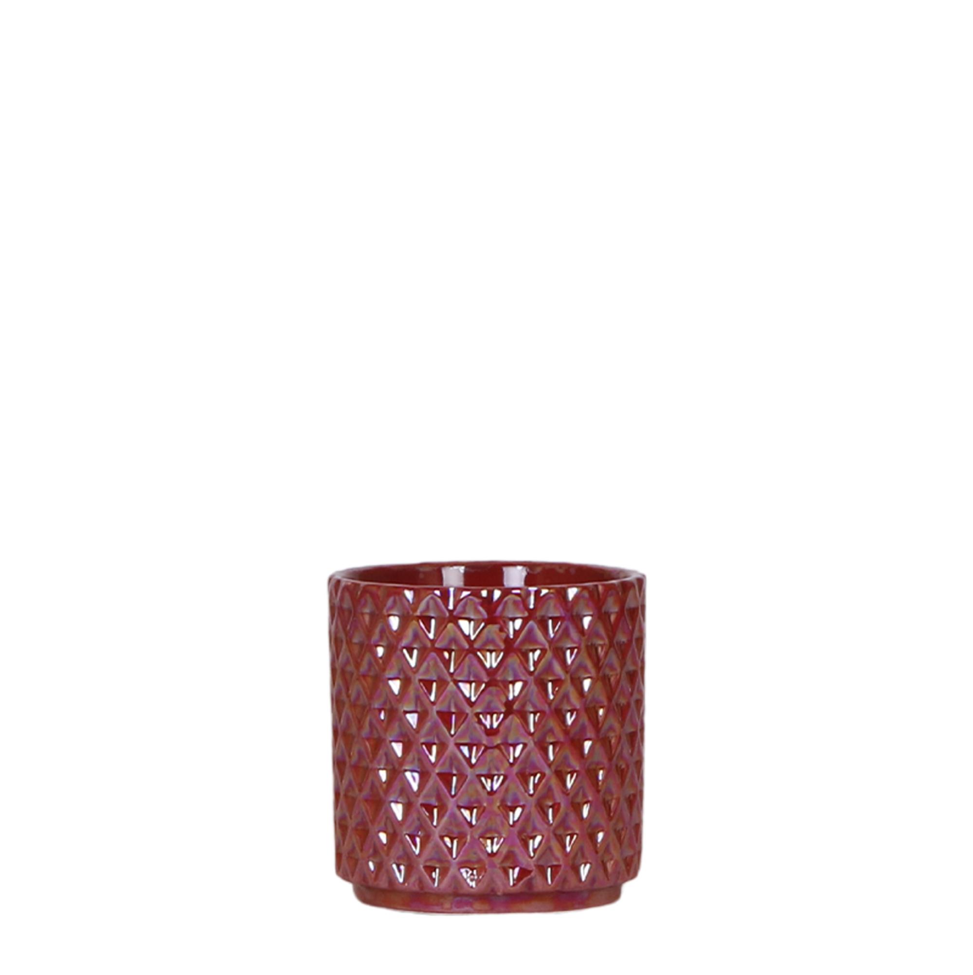 Kolibri Home | Diamond pearl red en pot Ø9cm. Plante verte type Kolibri Home | Diamond pearl red, livrée en pot, idéale pour intérieur lumineux.
