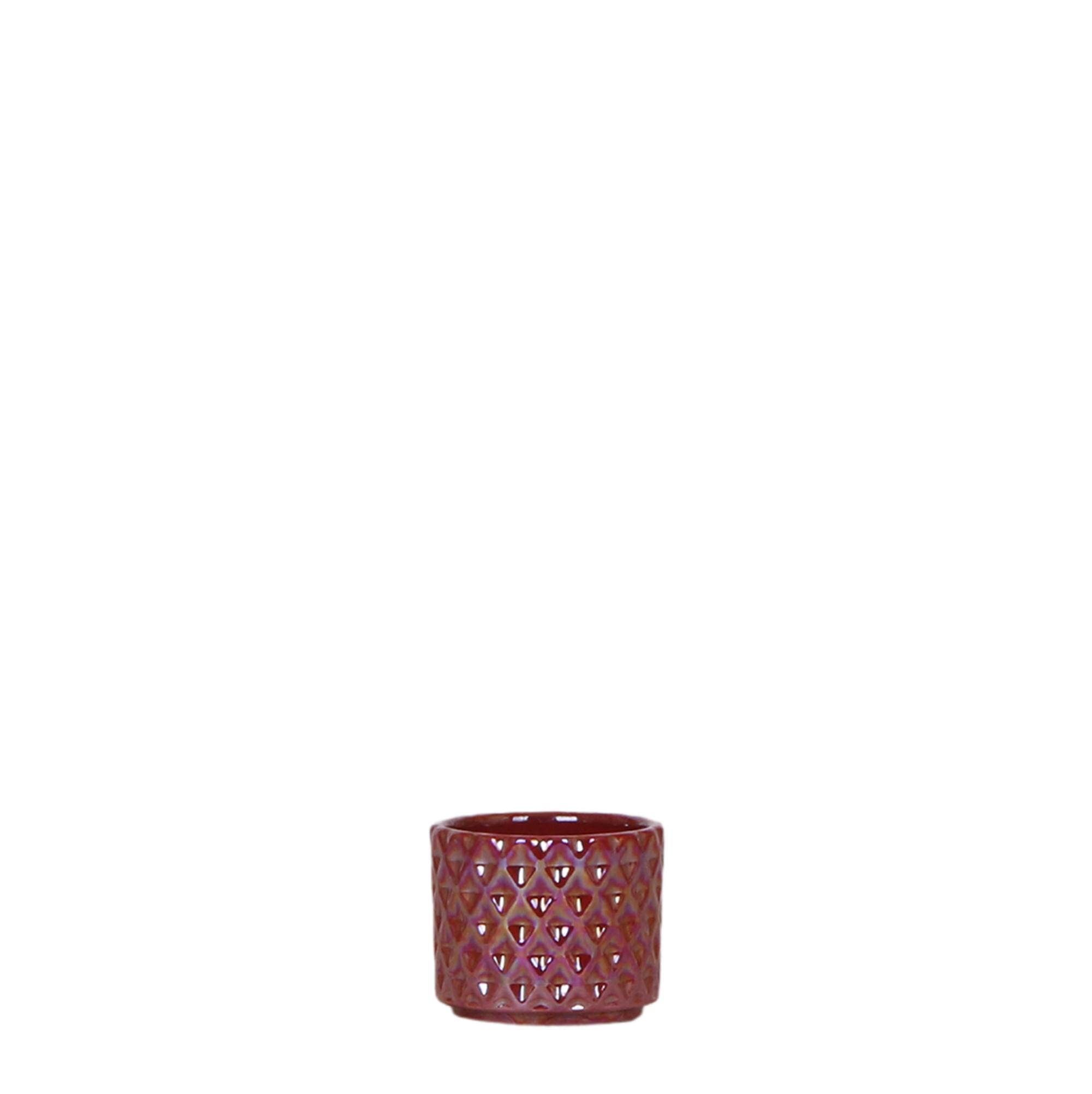 Kolibri Home | Diamond pearl red en pot Ø6cm. Plante verte type Kolibri Home | Diamond pearl red, livrée en pot, idéale pour intérieur lumineux.
