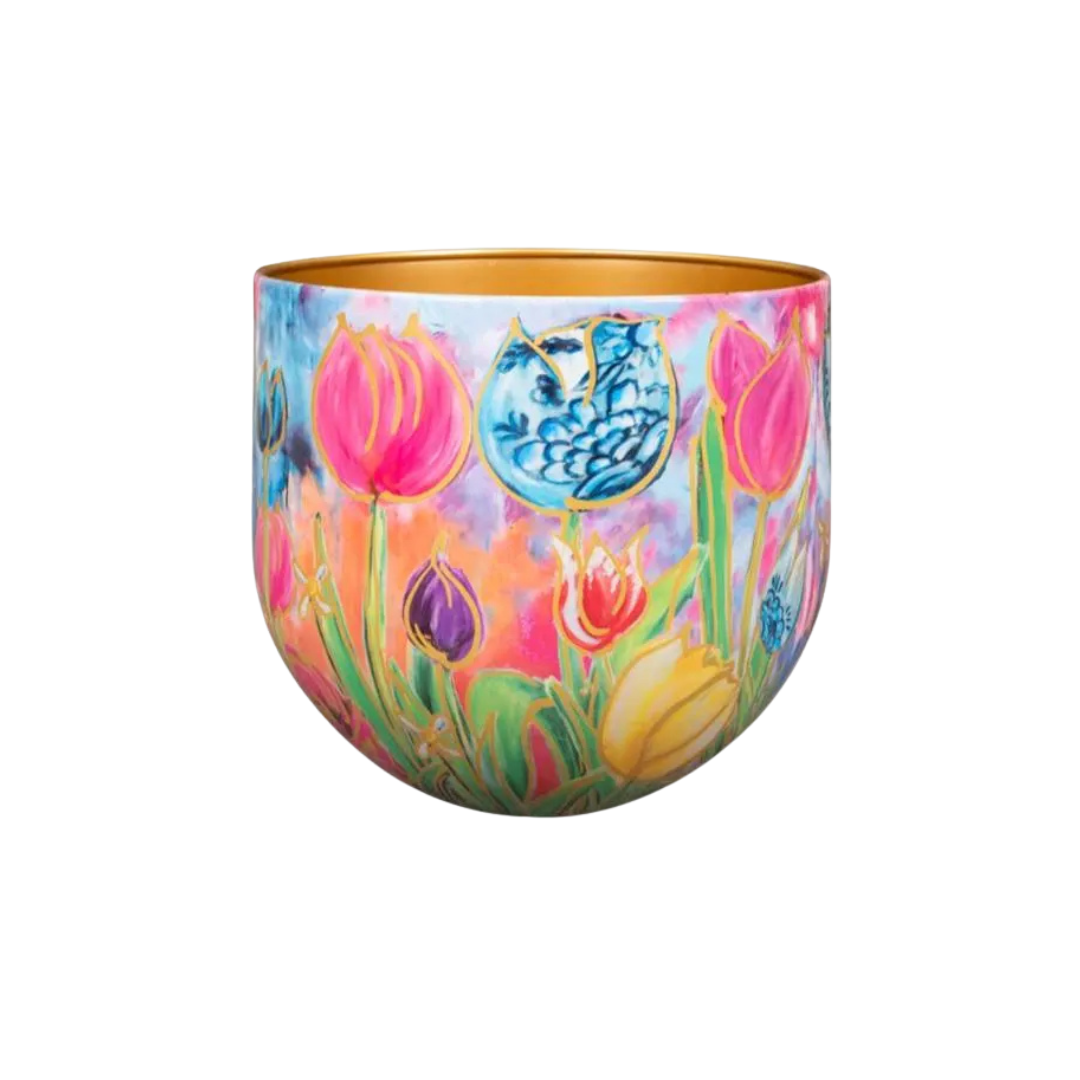 Dutch Beauty D24 x H21 en pot  Hauteur 21cm. Plante verte type Dutch Beauty D24 x H21, livrée en pot, idéale pour intérieur lumineux.