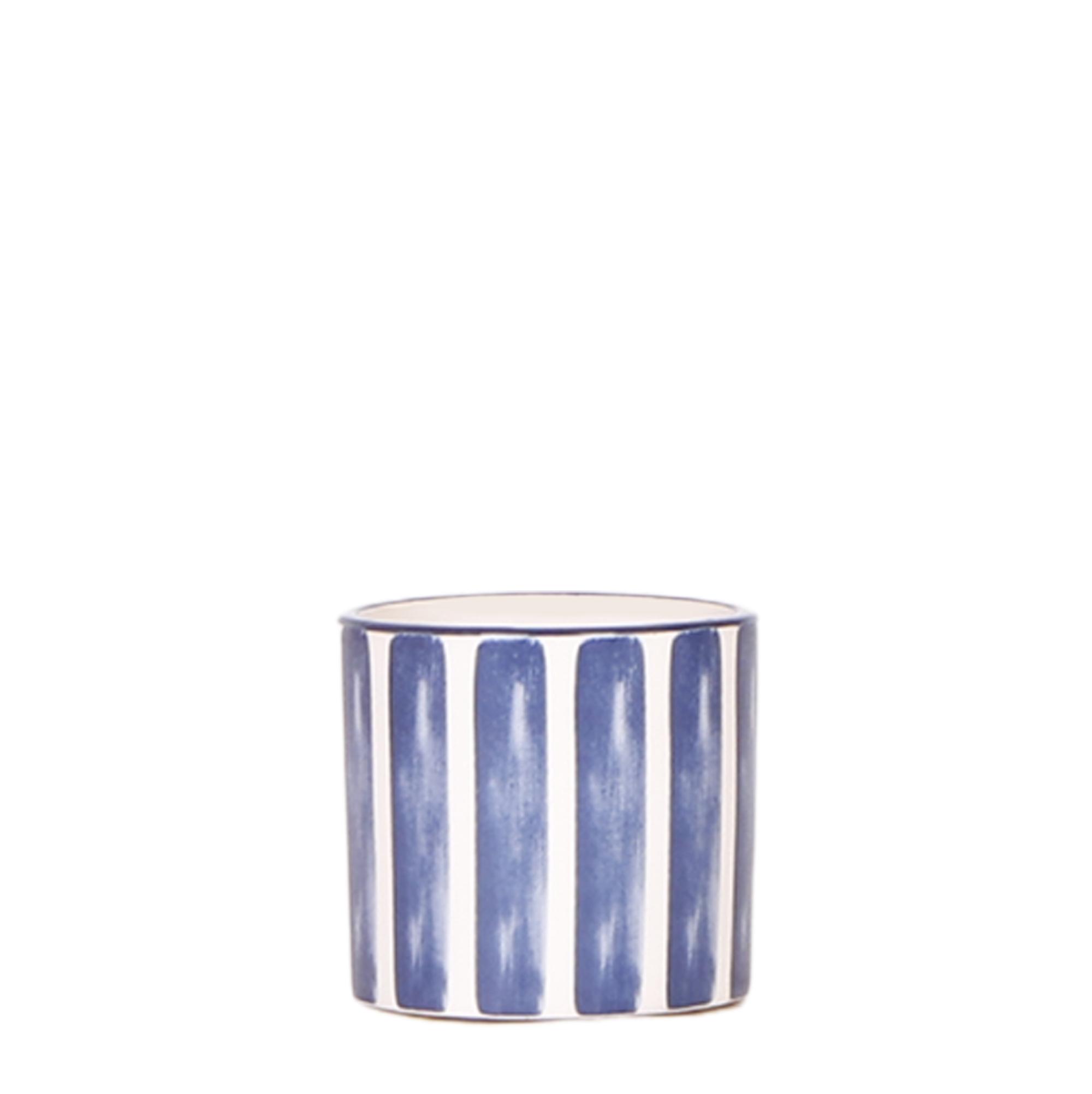 Kolibri Home | Painted stripe en pot Ø6cm. Plante verte type Kolibri Home | Painted stripe, livrée en pot, idéale pour intérieur lumineux.
