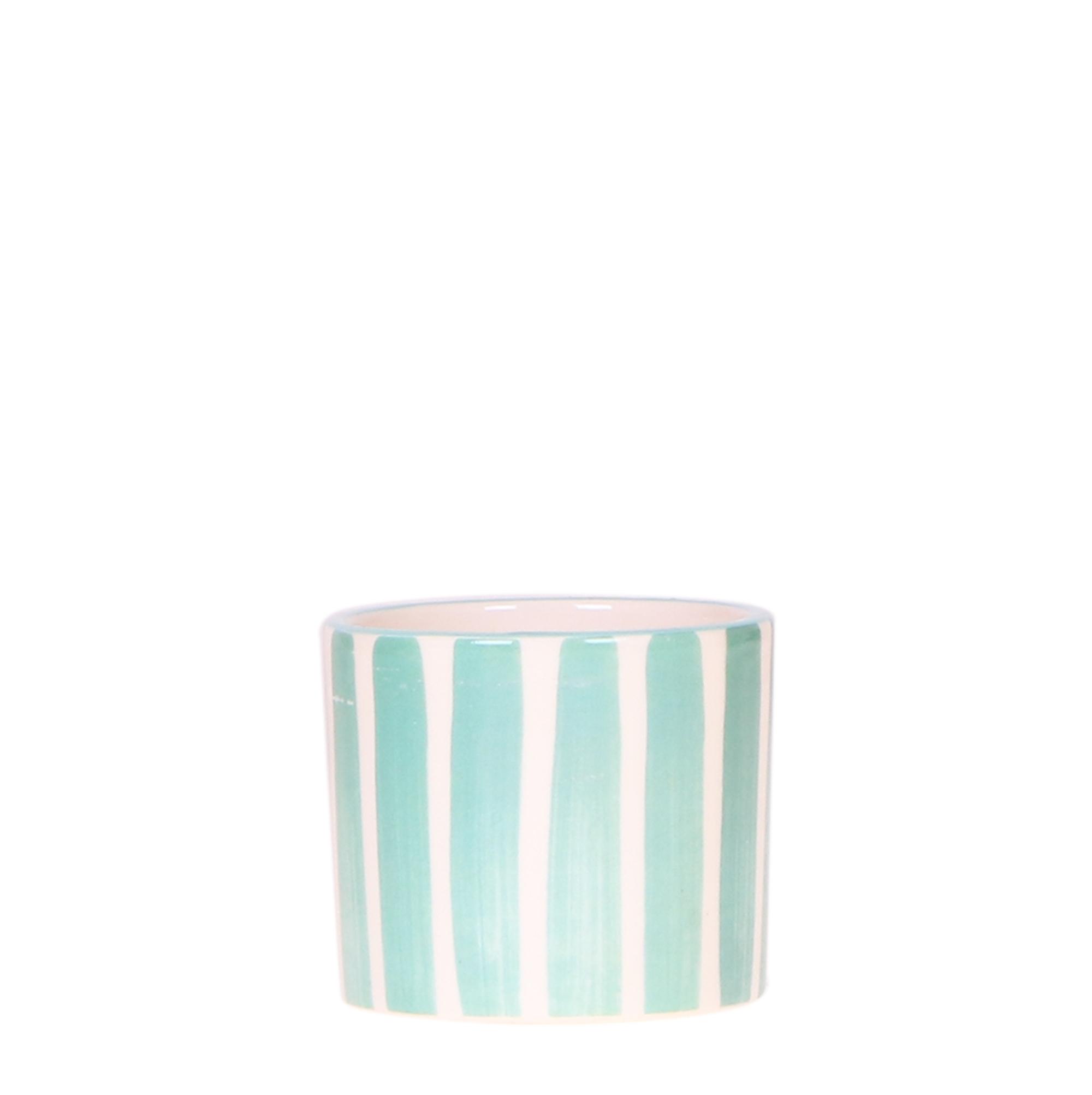 Kolibri Home | Painted stripe en pot Ø6cm. Plante verte type Kolibri Home | Painted stripe, livrée en pot, idéale pour intérieur lumineux.