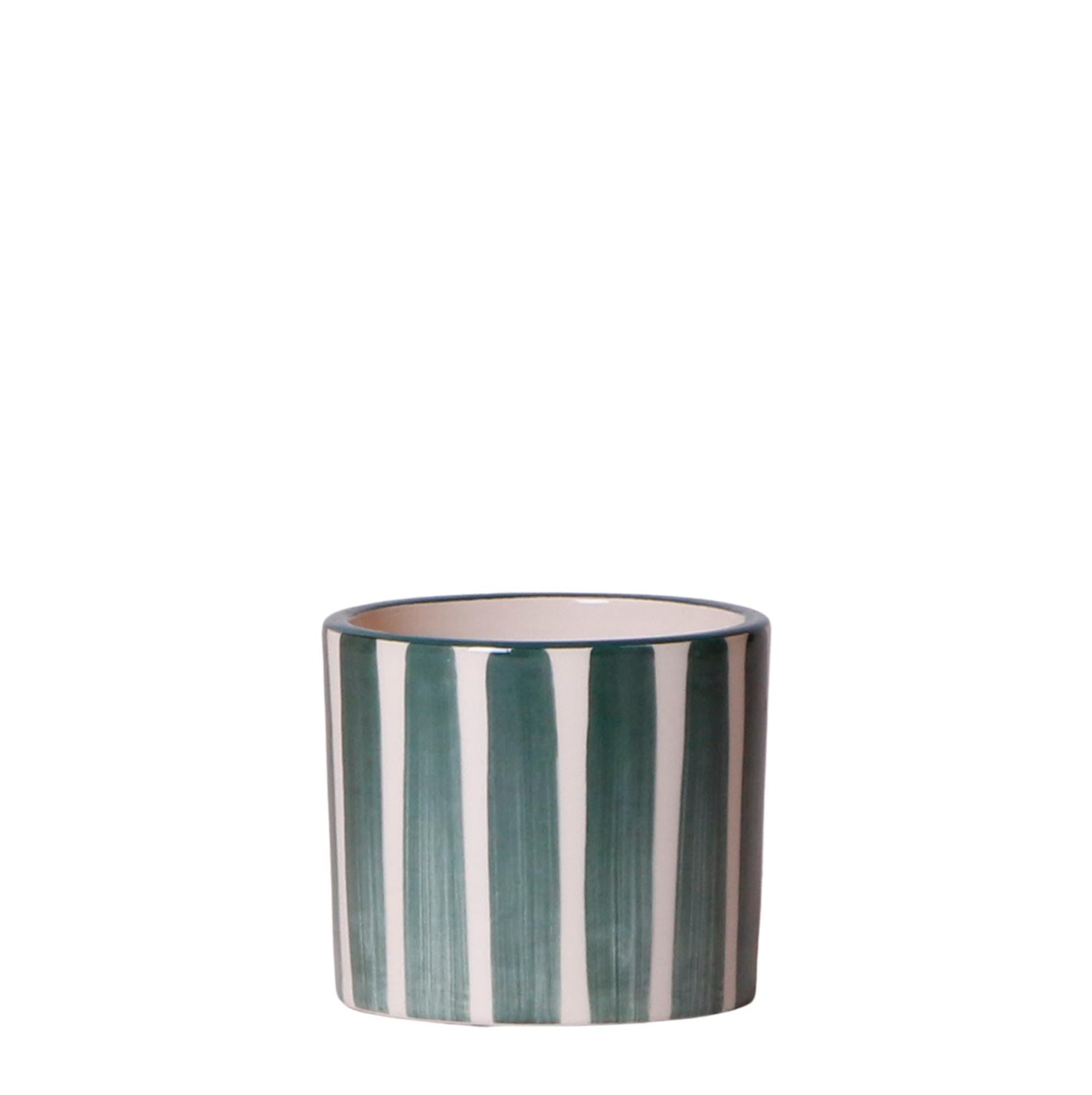 Kolibri Home | Painted stripe en pot Ø6cm. Plante verte type Kolibri Home | Painted stripe, livrée en pot, idéale pour intérieur lumineux.