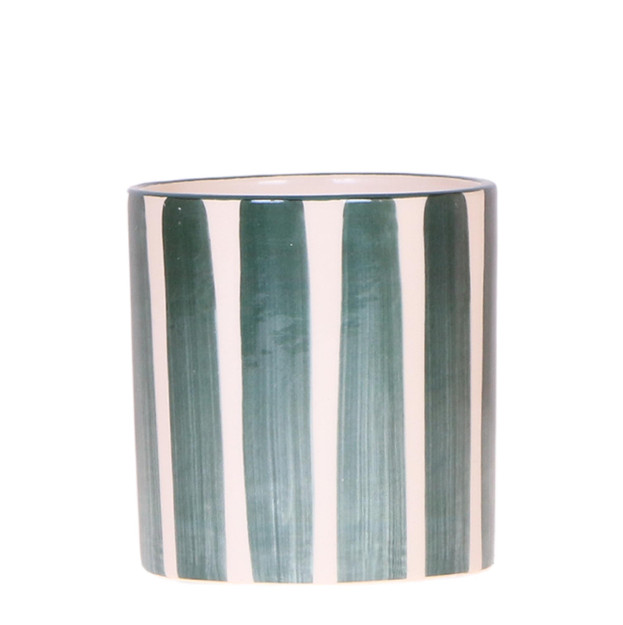 Kolibri Home | Painted stripe en pot Ø9cm. Plante verte type Kolibri Home | Painted stripe, livrée en pot, idéale pour intérieur lumineux.