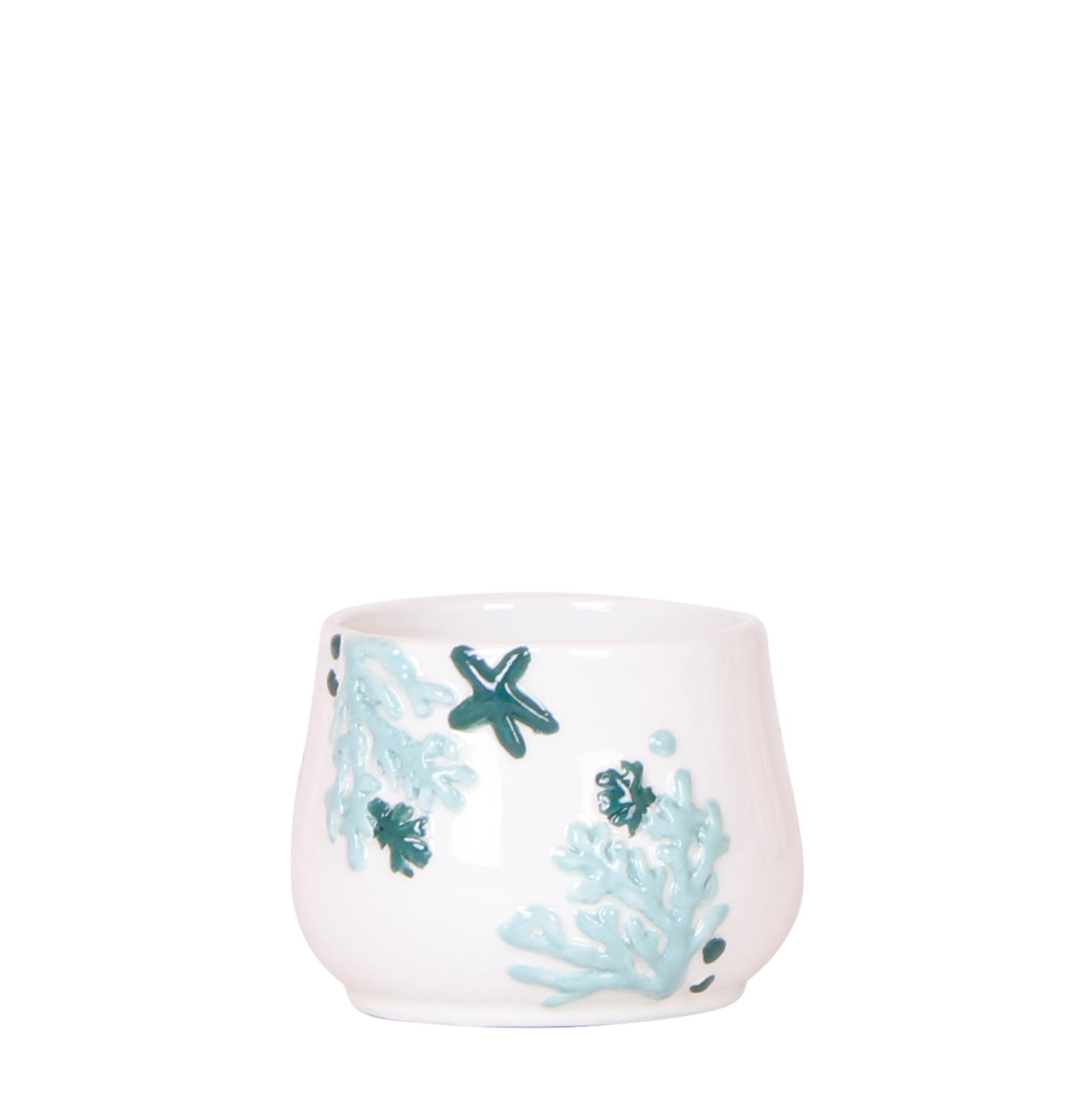 Kolibri Home | Coral en pot Ø6cm. Plante verte type Kolibri Home | Coral, livrée en pot, idéale pour intérieur lumineux.