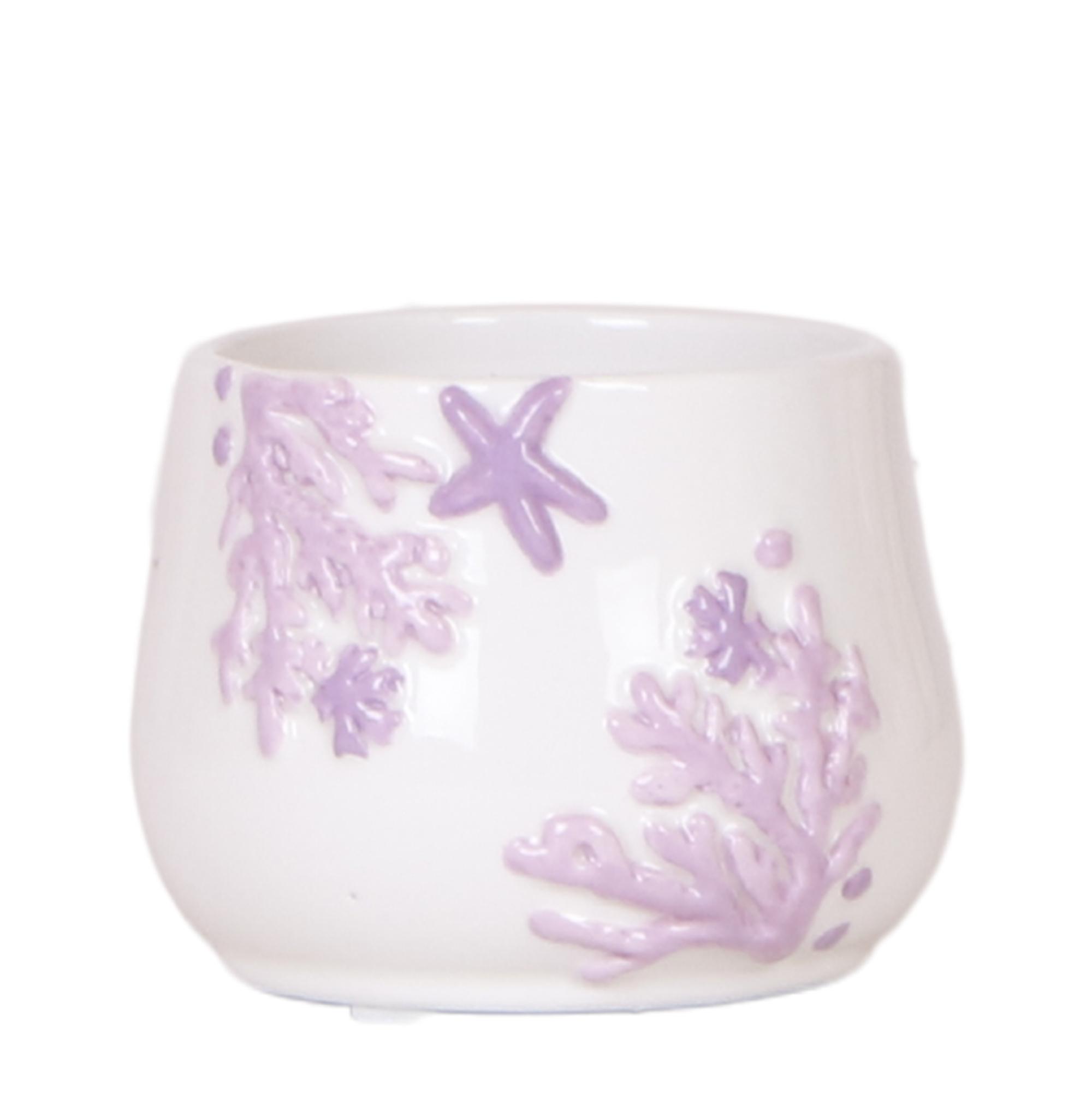Kolibri Home | Coral en pot Ø6cm. Plante verte type Kolibri Home | Coral, livrée en pot, idéale pour intérieur lumineux.