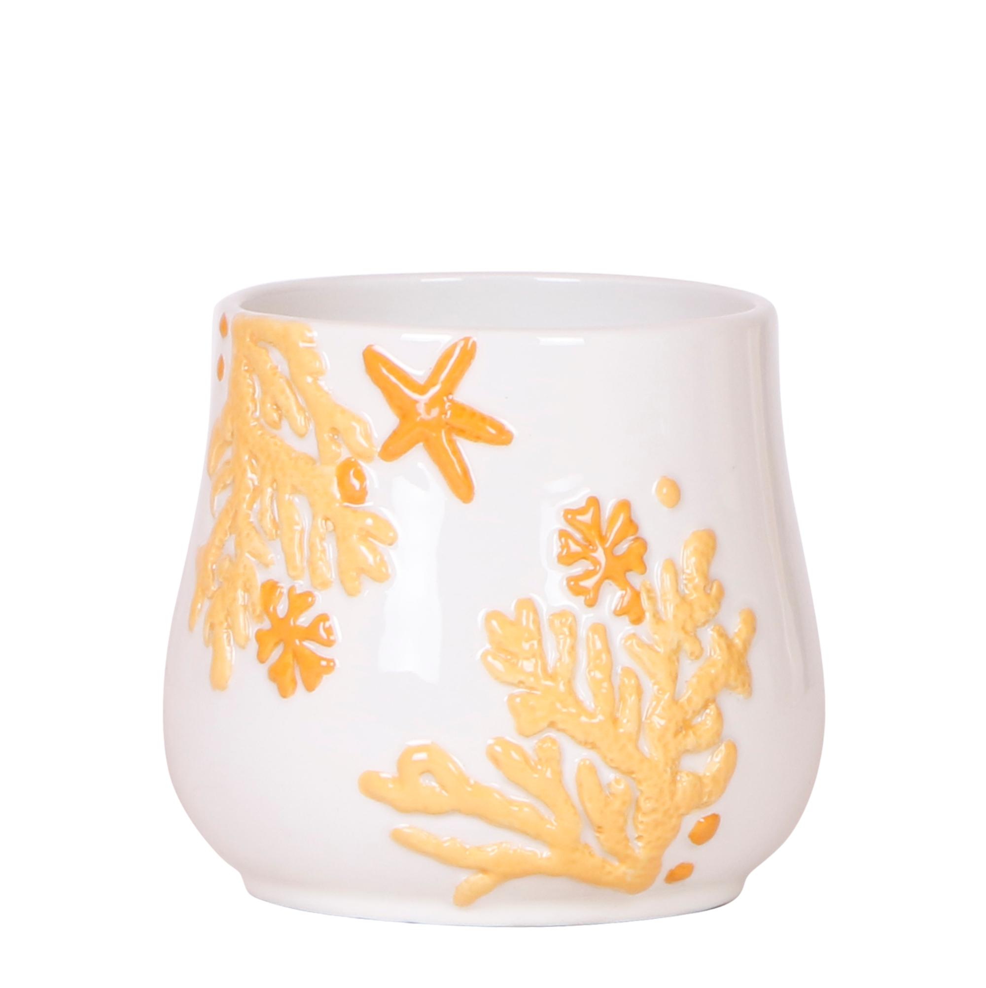Kolibri Home | Coral en pot Ø9cm. Plante verte type Kolibri Home | Coral, livrée en pot, idéale pour intérieur lumineux.
