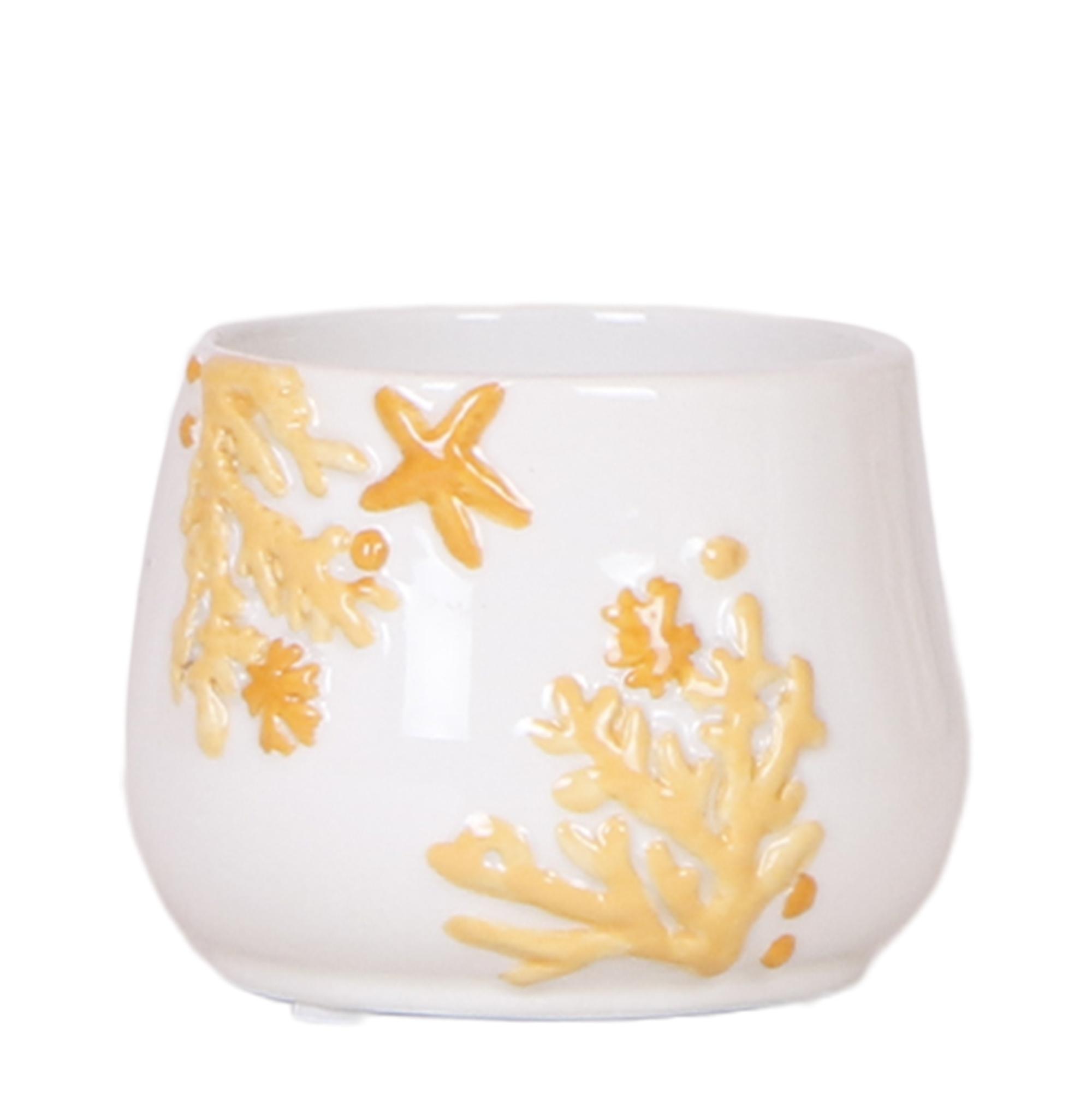 Kolibri Home | Coral en pot Ø6cm. Plante verte type Kolibri Home | Coral, livrée en pot, idéale pour intérieur lumineux.