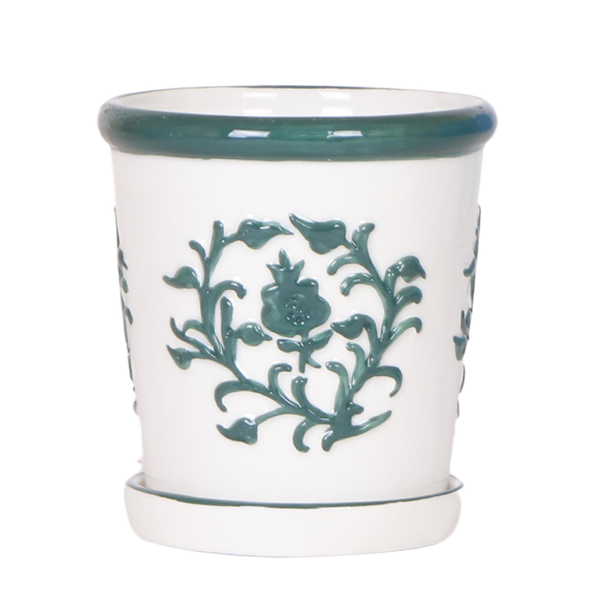Kolibri Home I Malaga pot en pot Ø9cm. Plante verte type Kolibri Home I Malaga pot, livrée en pot, idéale pour intérieur lumineux.