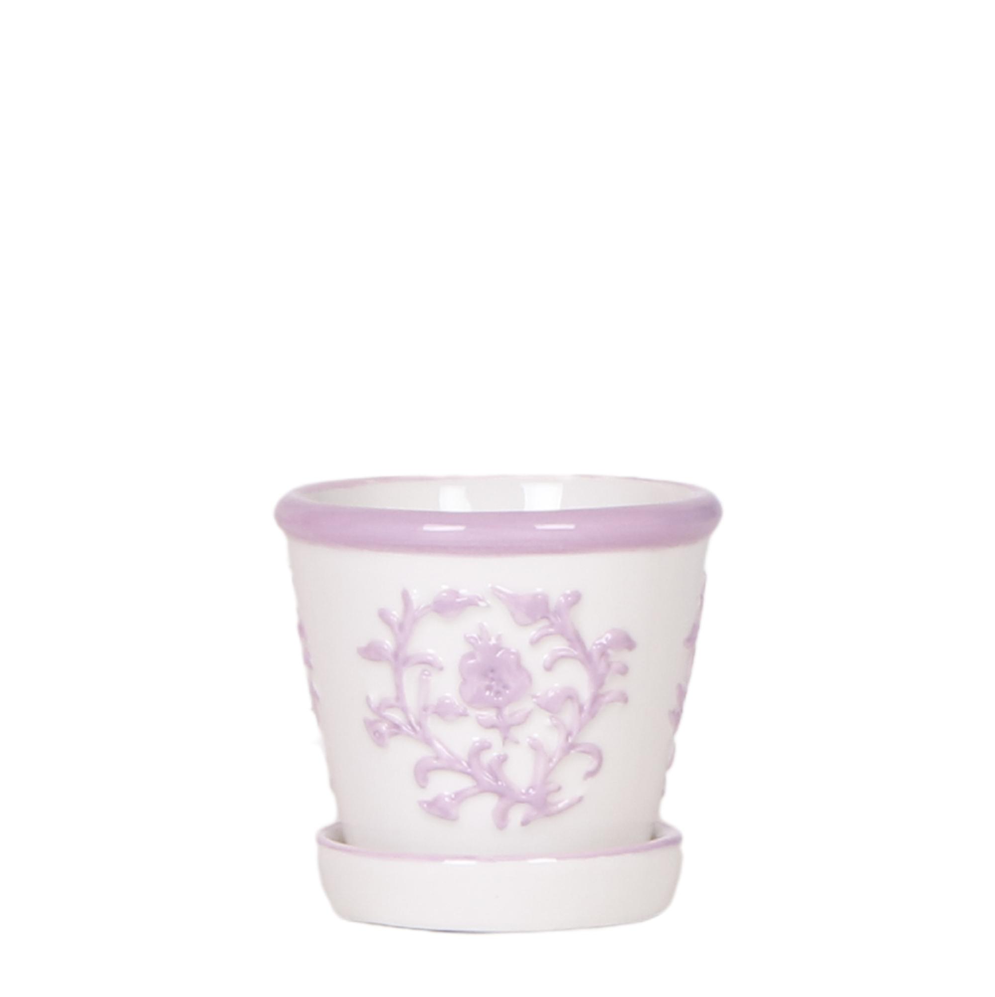 Kolibri Home I Malaga pot en pot Ø6cm. Plante verte type Kolibri Home I Malaga pot, livrée en pot, idéale pour intérieur lumineux.
