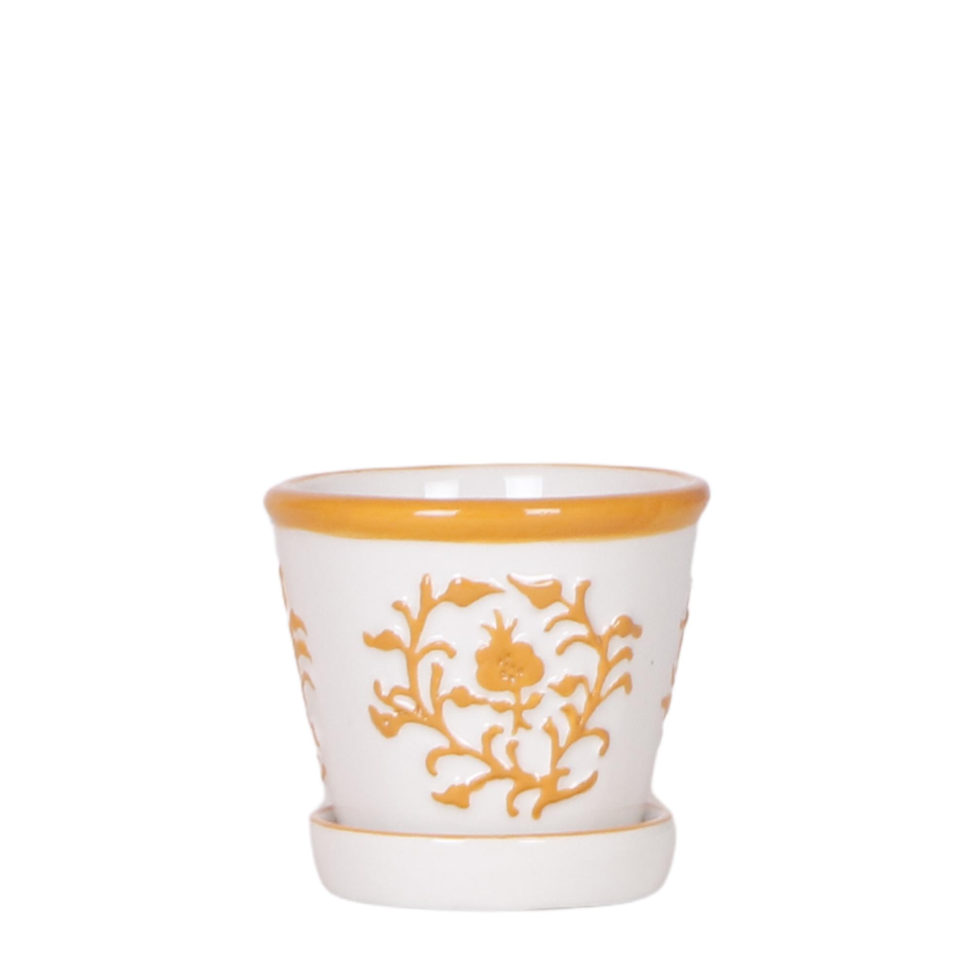 Kolibri Home I Malaga pot en pot Ø6cm. Plante verte type Kolibri Home I Malaga pot, livrée en pot, idéale pour intérieur lumineux.