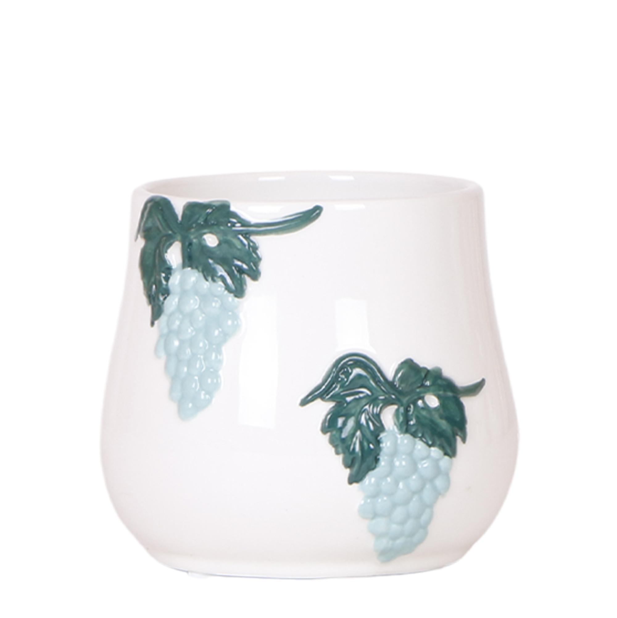 Kolibri Home I Grape pot en pot Ø9cm. Plante verte type Kolibri Home I Grape pot, livrée en pot, idéale pour intérieur lumineux.