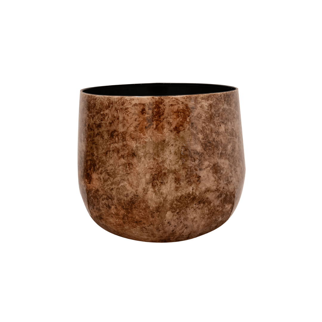 Cilia Latte D37 x H32 en pot  Hauteur 32cm. Plante verte type Cilia Latte D37 x H32, livrée en pot, idéale pour intérieur lumineux.