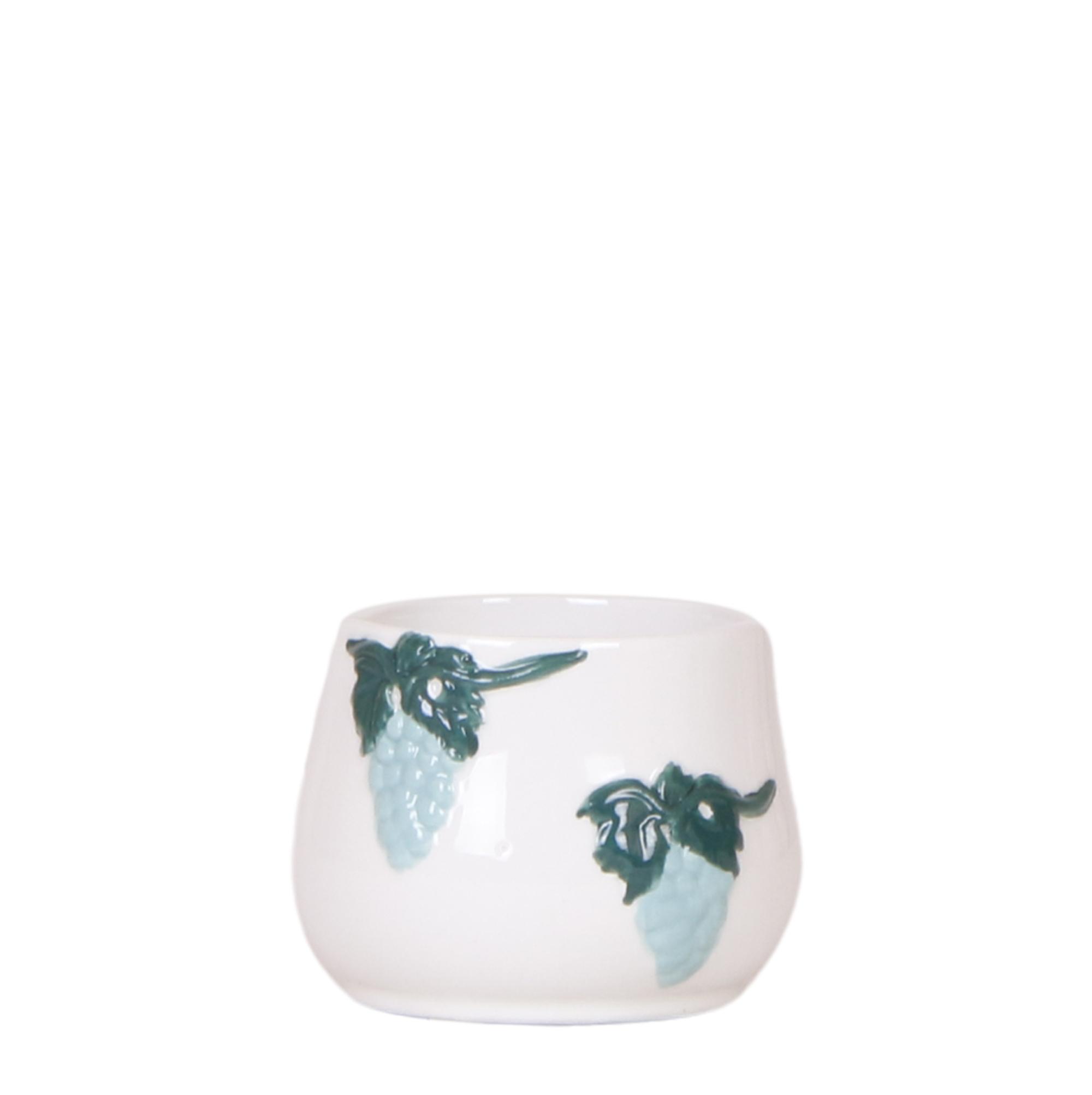 Kolibri Home I Grape pot en pot Ø6cm. Plante verte type Kolibri Home I Grape pot, livrée en pot, idéale pour intérieur lumineux.
