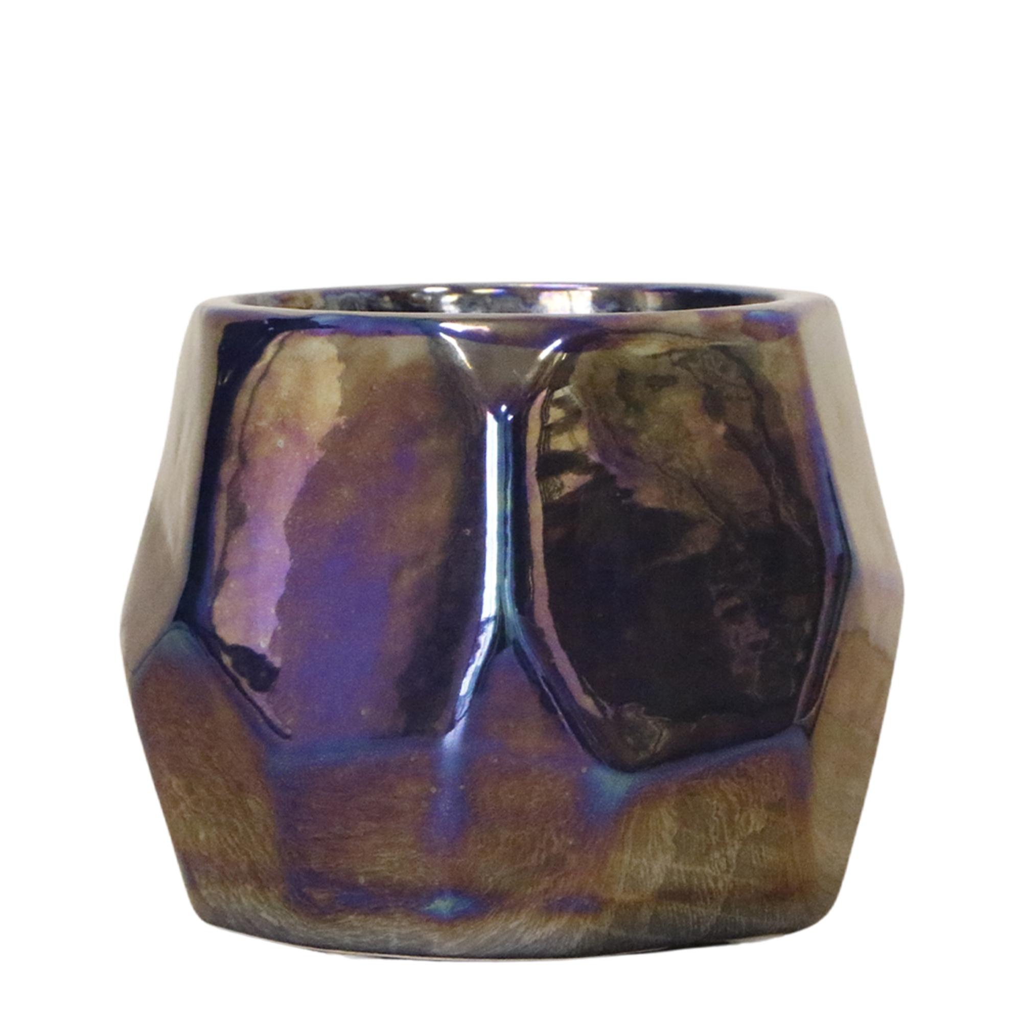 Kolibri Home I Pearl pot en pot Ø9cm. Plante verte type Kolibri Home I Pearl pot, livrée en pot, idéale pour intérieur lumineux.