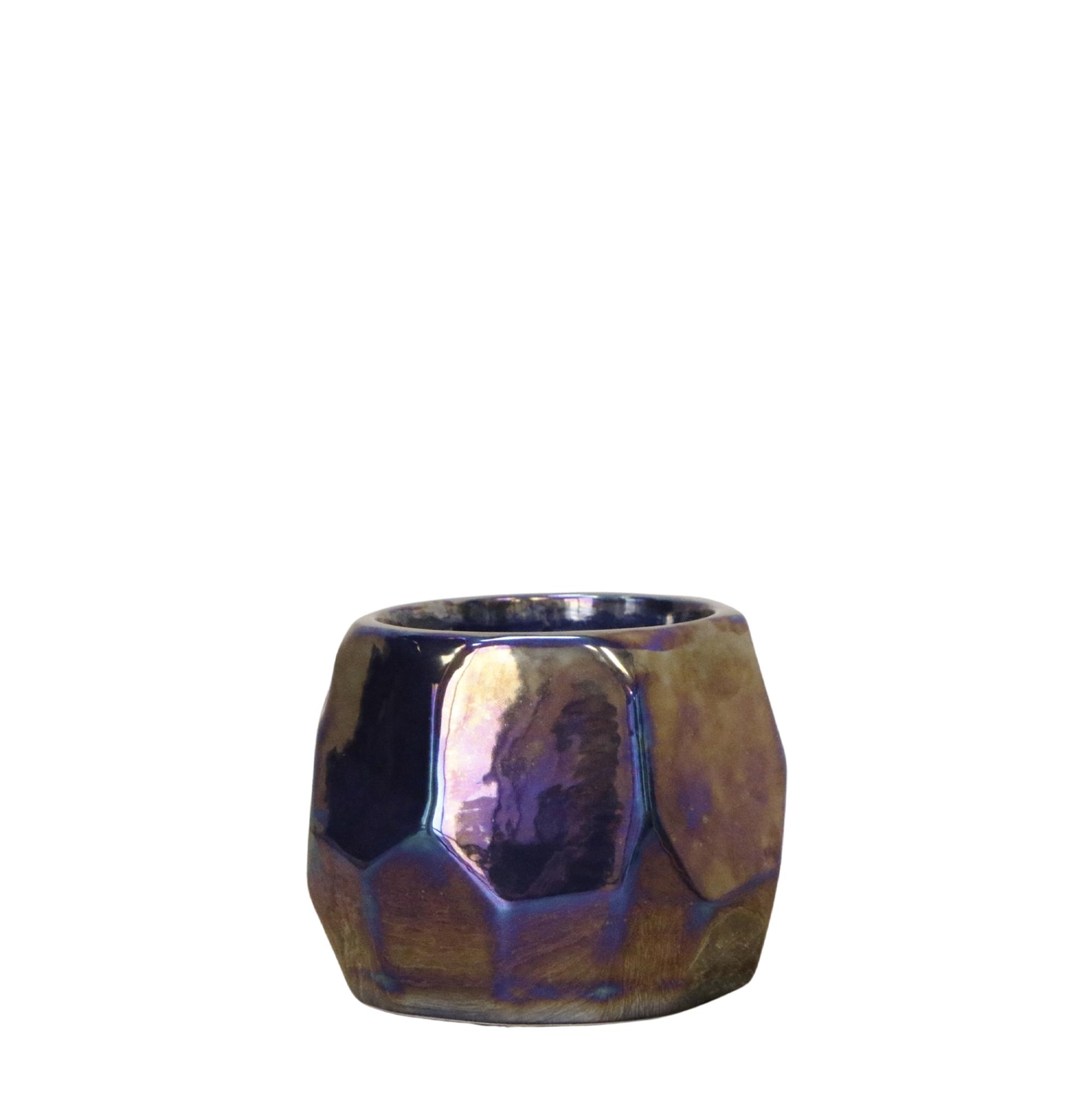 Kolibri Home I Pearl pot en pot Ø6cm. Plante verte type Kolibri Home I Pearl pot, livrée en pot, idéale pour intérieur lumineux.