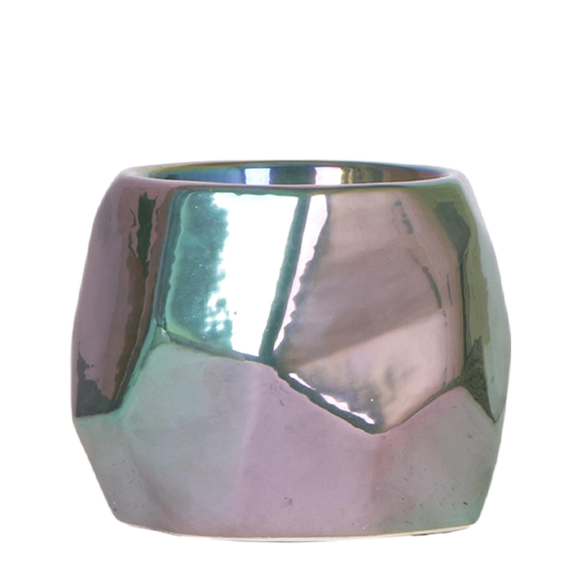 Kolibri Home I Pearl pot en pot Ø9cm. Plante verte type Kolibri Home I Pearl pot, livrée en pot, idéale pour intérieur lumineux.