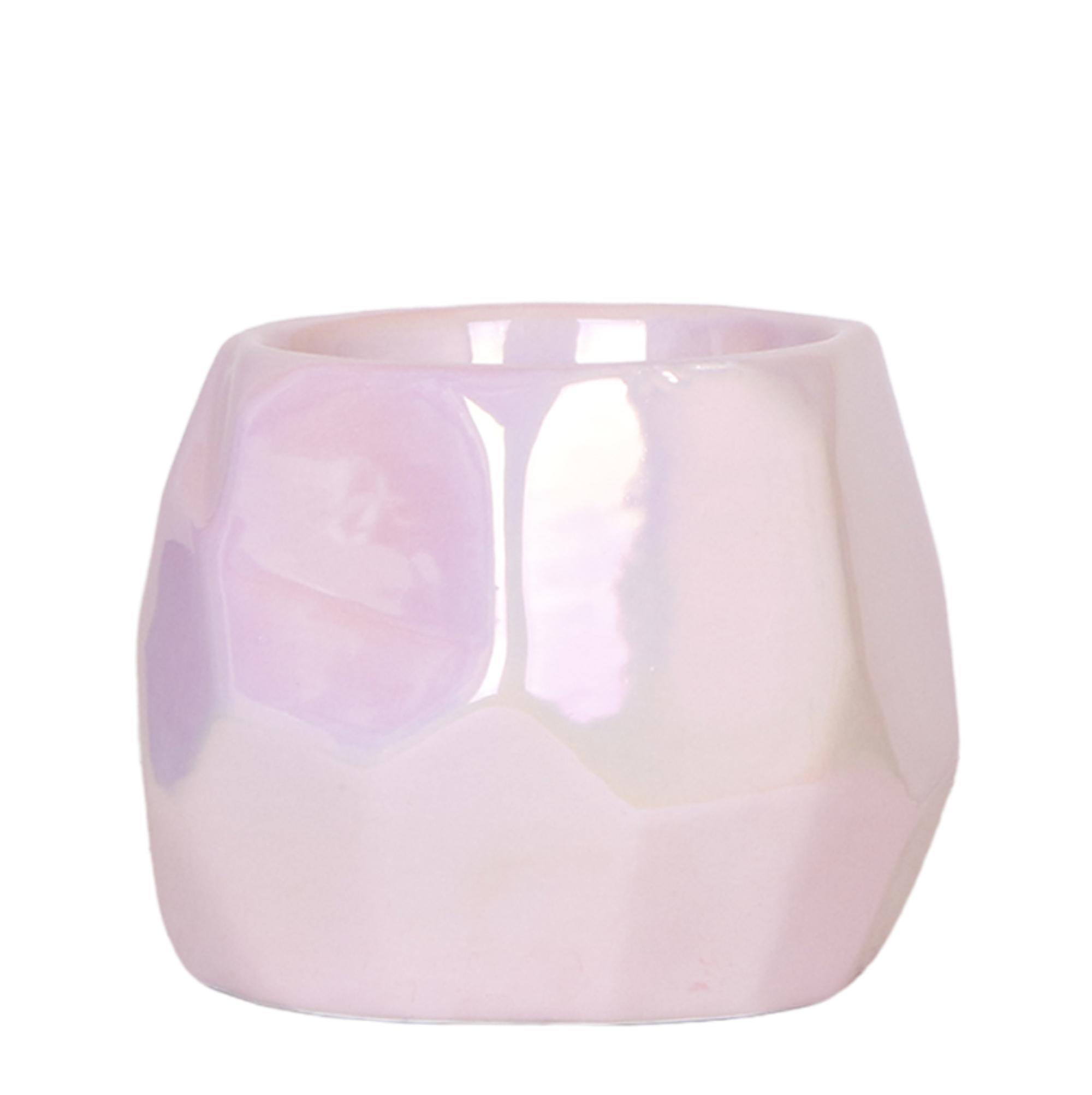 Kolibri Home I Pearl pot en pot Ø9cm. Plante verte type Kolibri Home I Pearl pot, livrée en pot, idéale pour intérieur lumineux.