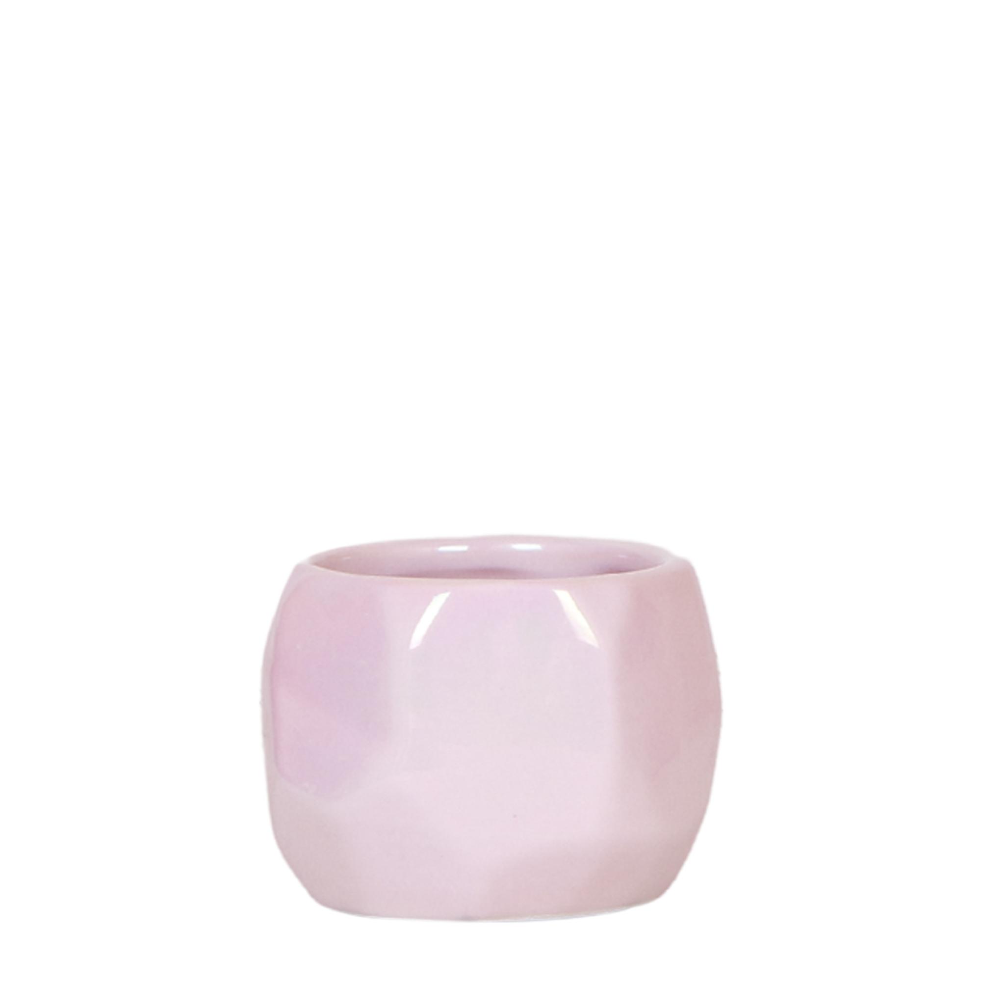 Kolibri Home I Pearl pot en pot Ø6cm. Plante verte type Kolibri Home I Pearl pot, livrée en pot, idéale pour intérieur lumineux.