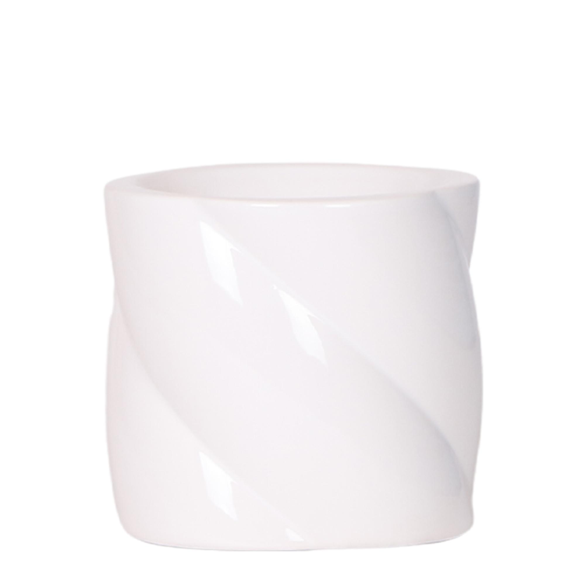 Kolibri Home | Candy sierpot en pot Ø9cm. Plante verte type Kolibri Home | Candy sierpot, livrée en pot, idéale pour intérieur lumineux.