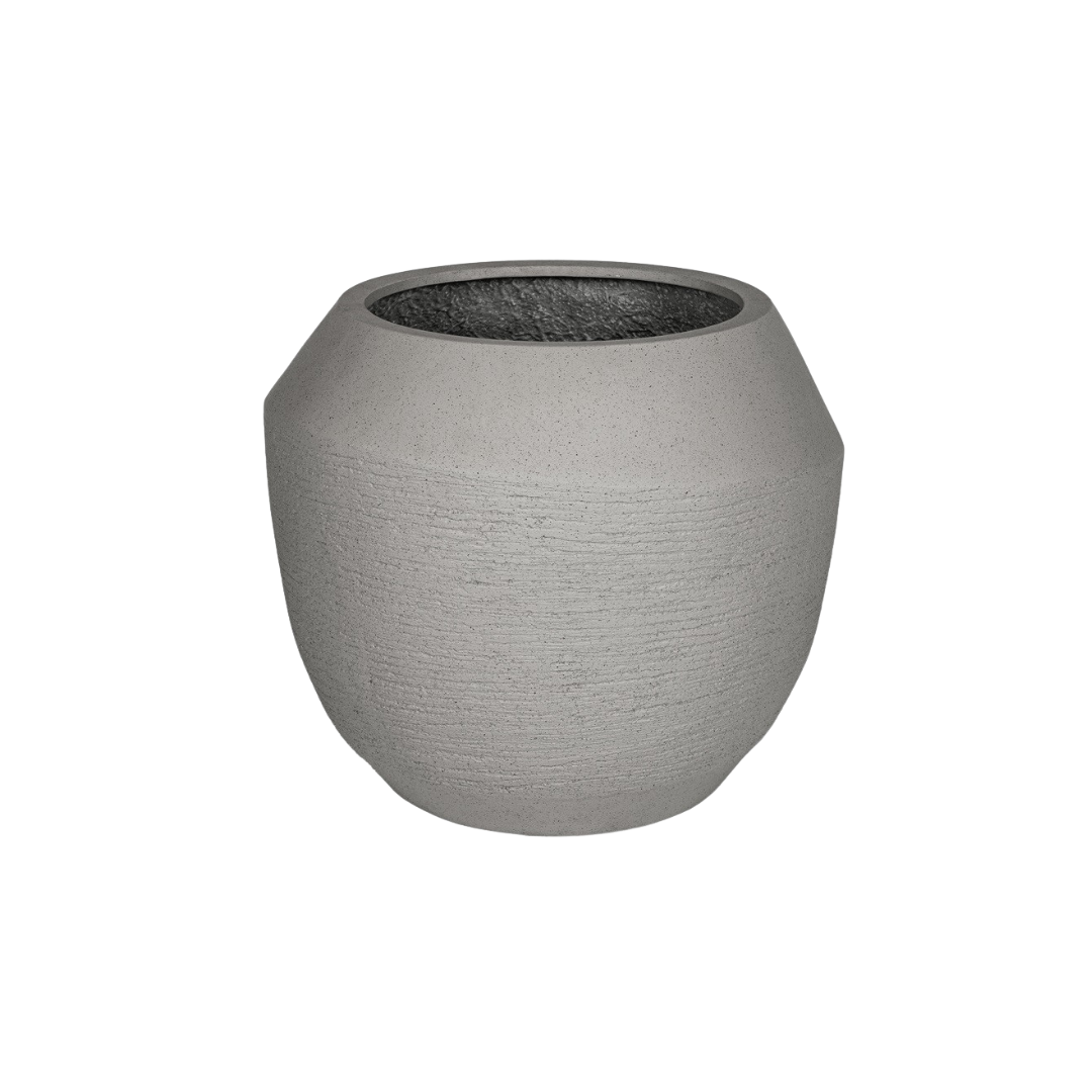 Ruvido Clay en pot  Hauteur 47cm. Plante verte type Ruvido Clay, livrée en pot, idéale pour intérieur lumineux.