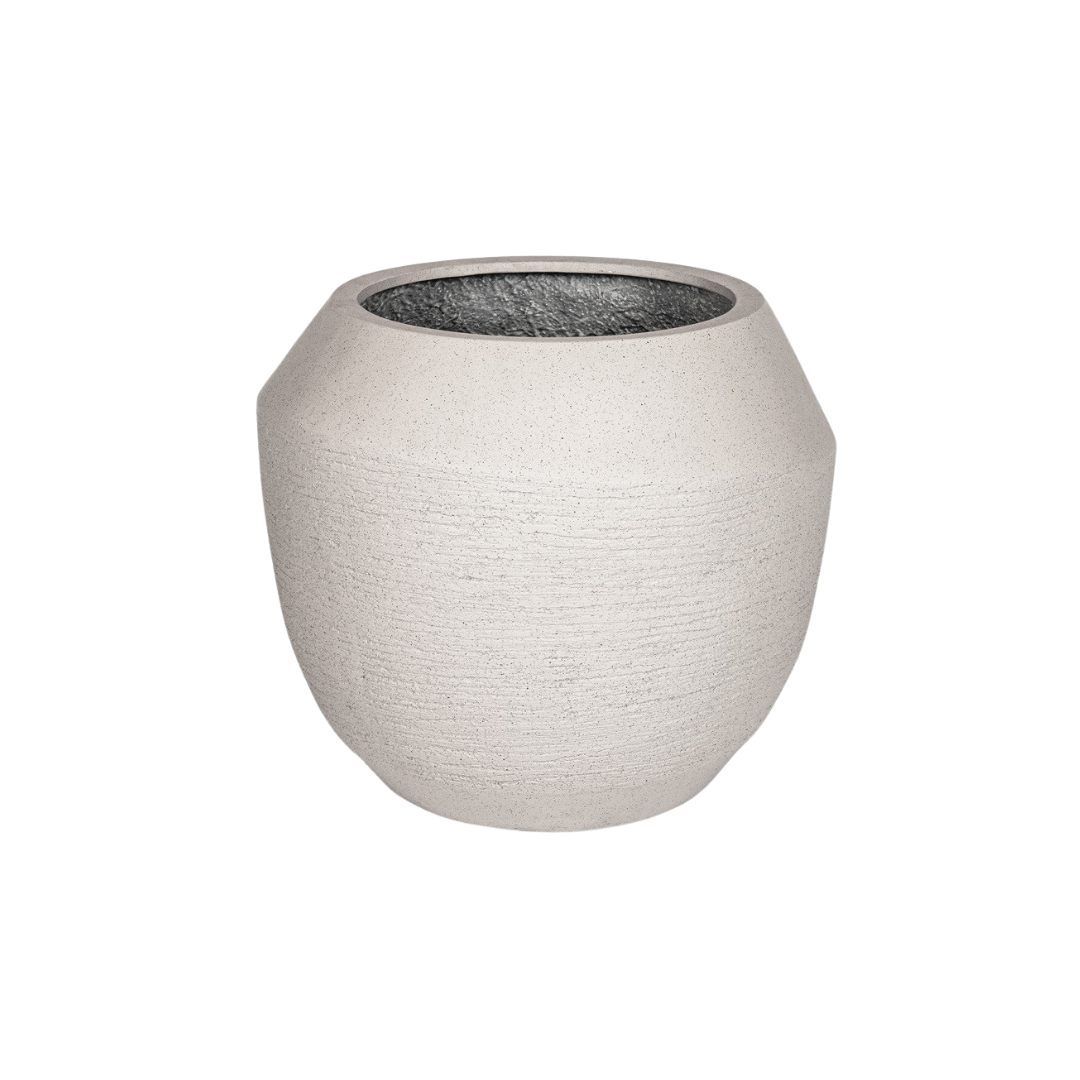 Ruvido Sand en pot  Hauteur 47cm. Plante verte type Ruvido Sand, livrée en pot, idéale pour intérieur lumineux.