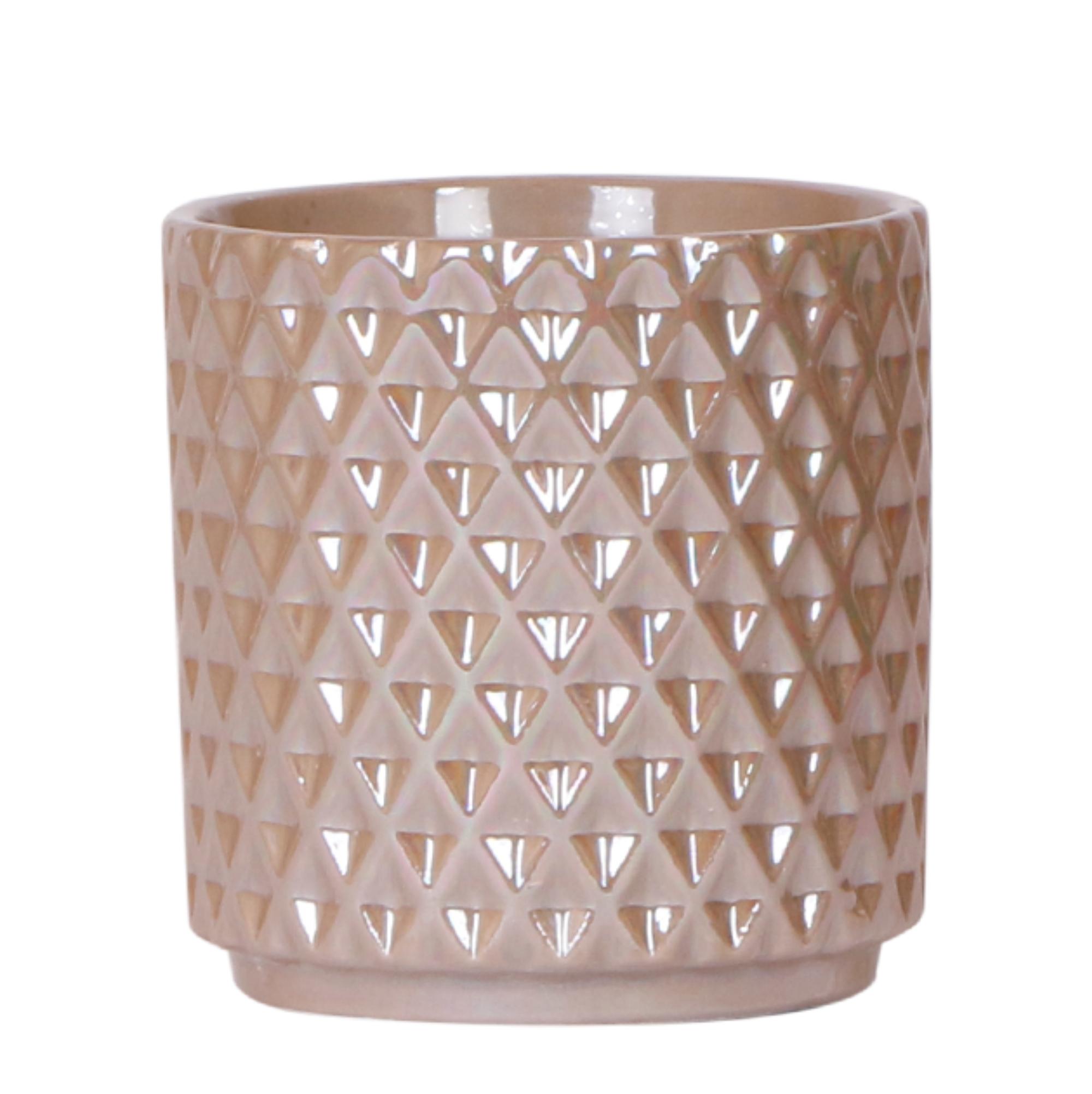 Kolibri Home | Diamond pearl sierpot en pot Ø9cm. Plante verte type Kolibri Home | Diamond pearl sierpot, livrée en pot, idéale pour intérieur lumineux.