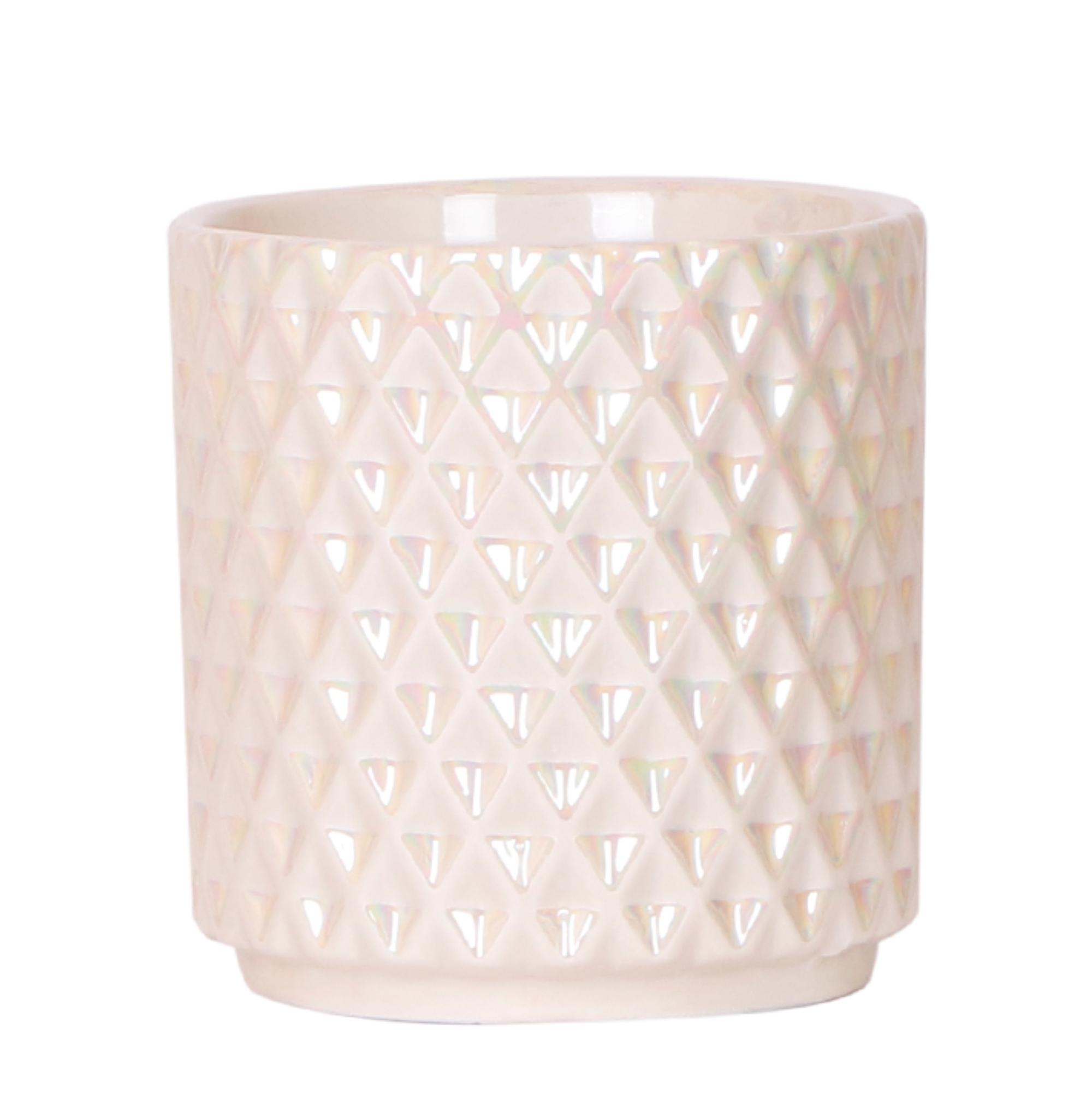Kolibri Home | Diamond pearl sierpot en pot Ø9cm. Plante verte type Kolibri Home | Diamond pearl sierpot, livrée en pot, idéale pour intérieur lumineux.