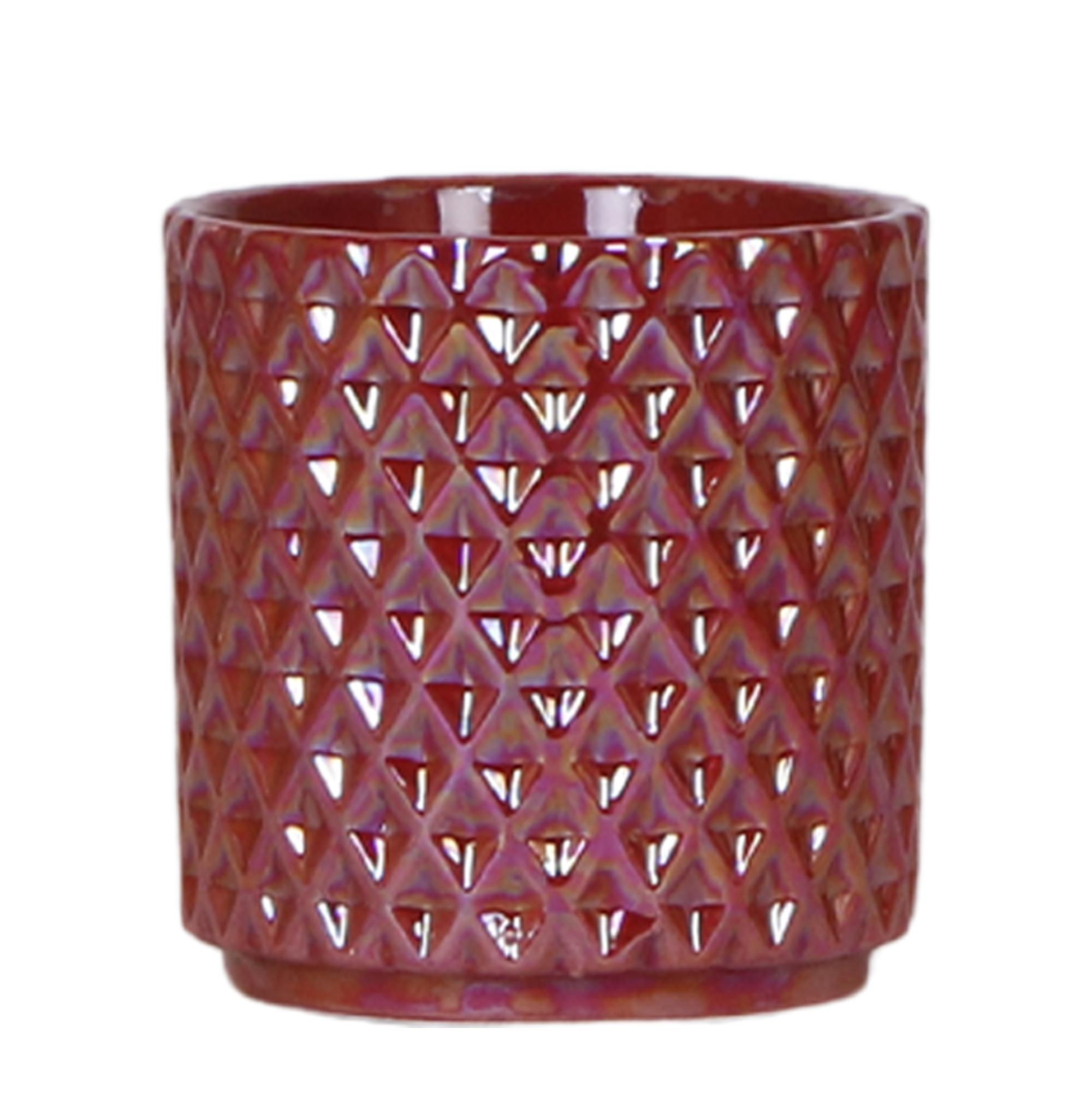 Kolibri Home | Diamond pearl sierpot en pot Ø9cm. Plante verte type Kolibri Home | Diamond pearl sierpot, livrée en pot, idéale pour intérieur lumineux.