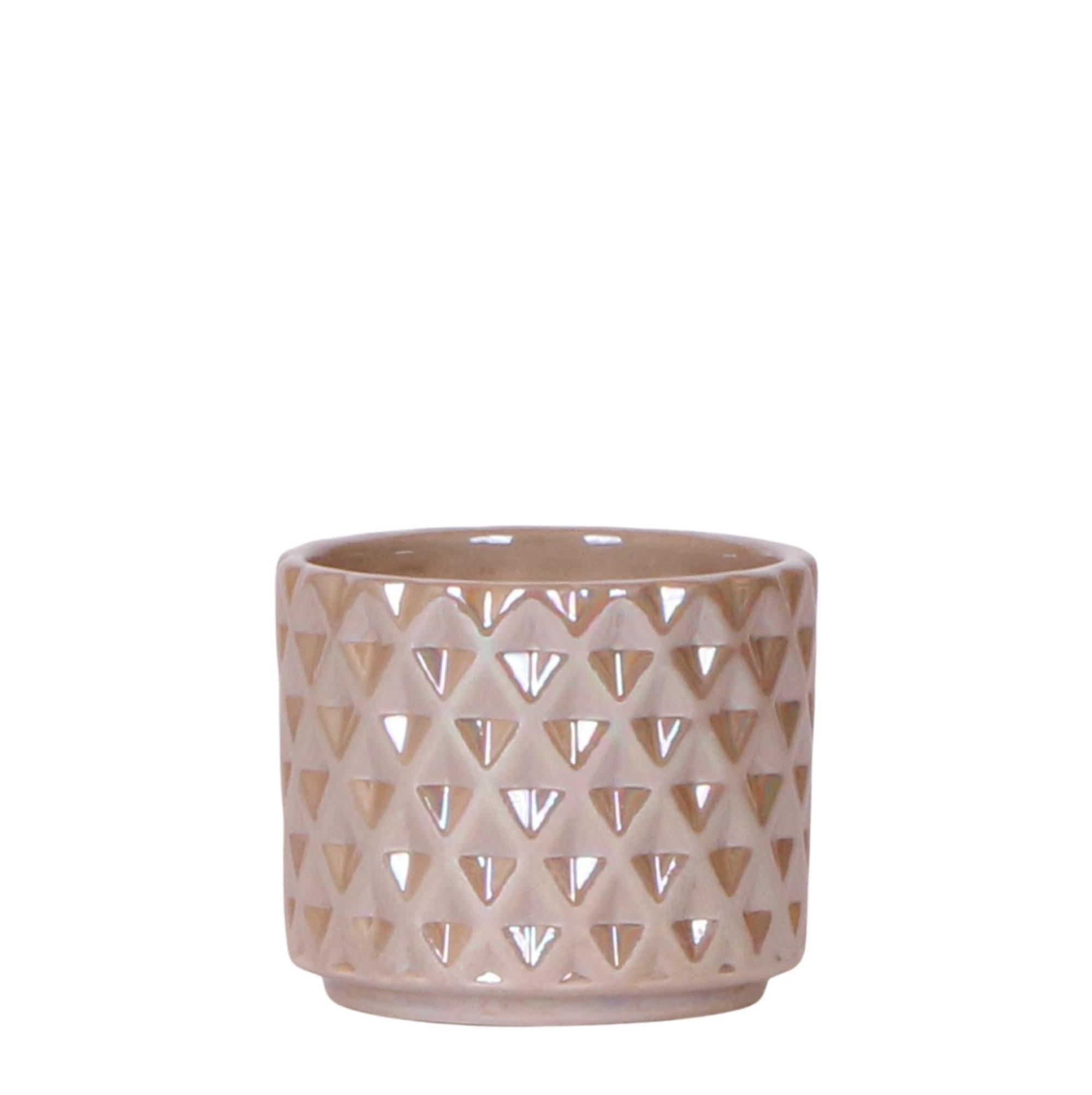 Kolibri Home | Diamond pearl sierpot en pot Ø6cm. Plante verte type Kolibri Home | Diamond pearl sierpot, livrée en pot, idéale pour intérieur lumineux.