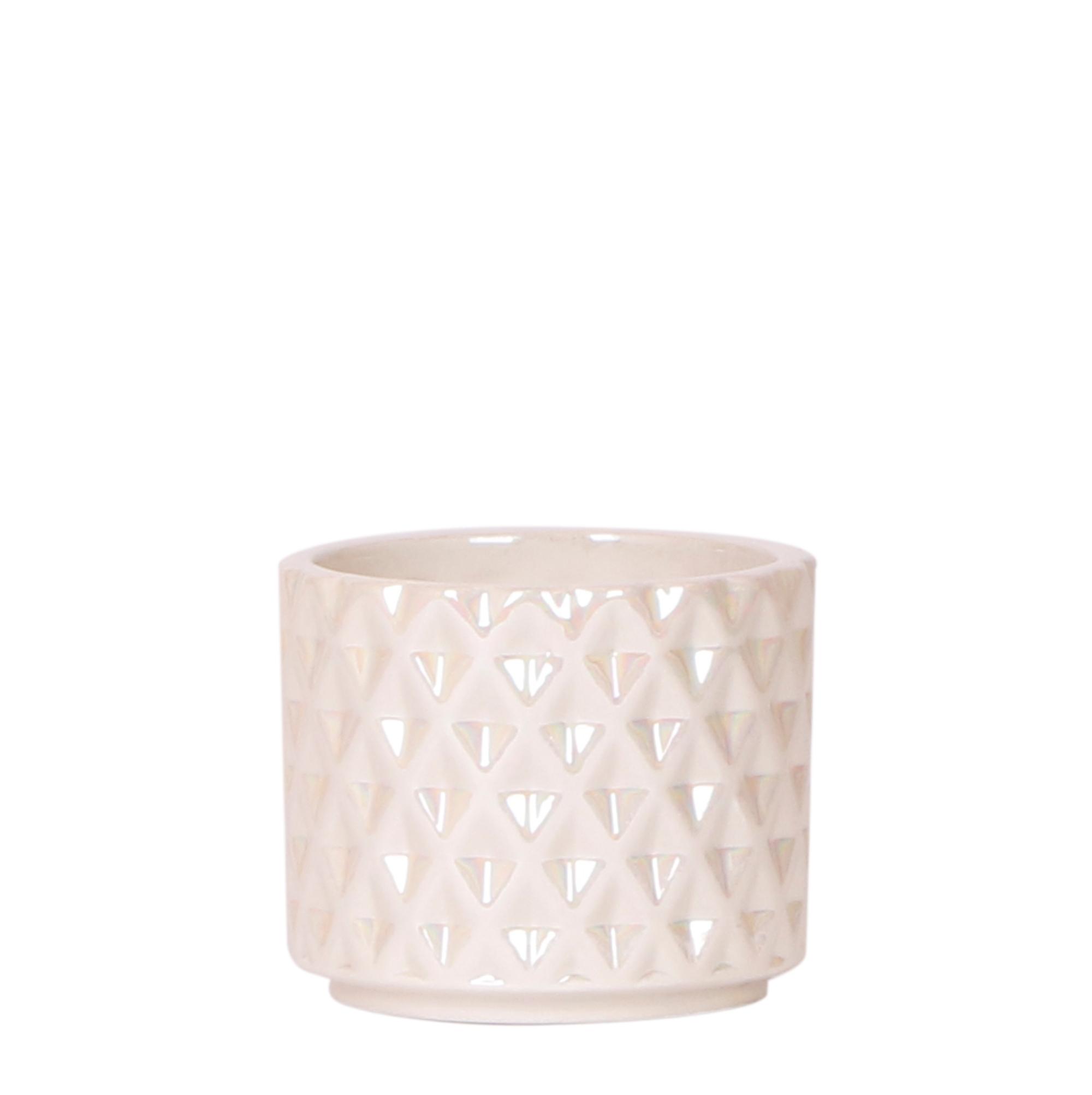 Kolibri Home | Diamond pearl sierpot en pot Ø6cm. Plante verte type Kolibri Home | Diamond pearl sierpot, livrée en pot, idéale pour intérieur lumineux.