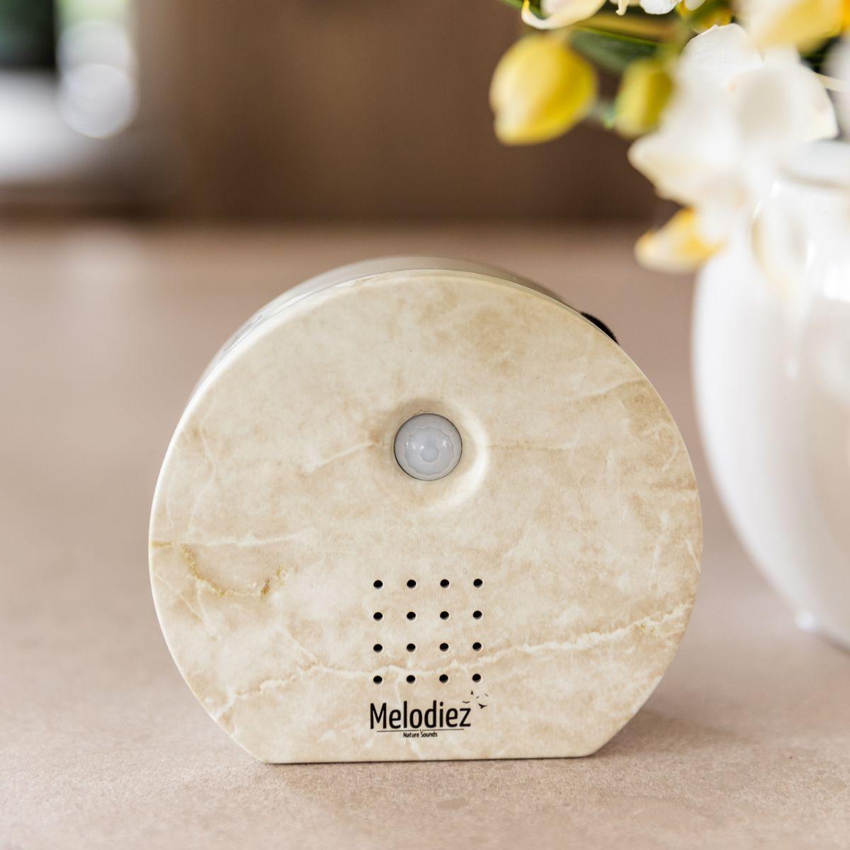 Melodiez music box en pot. Plante verte type Melodiez music box, livrée en pot, idéale pour intérieur lumineux. – Image 10