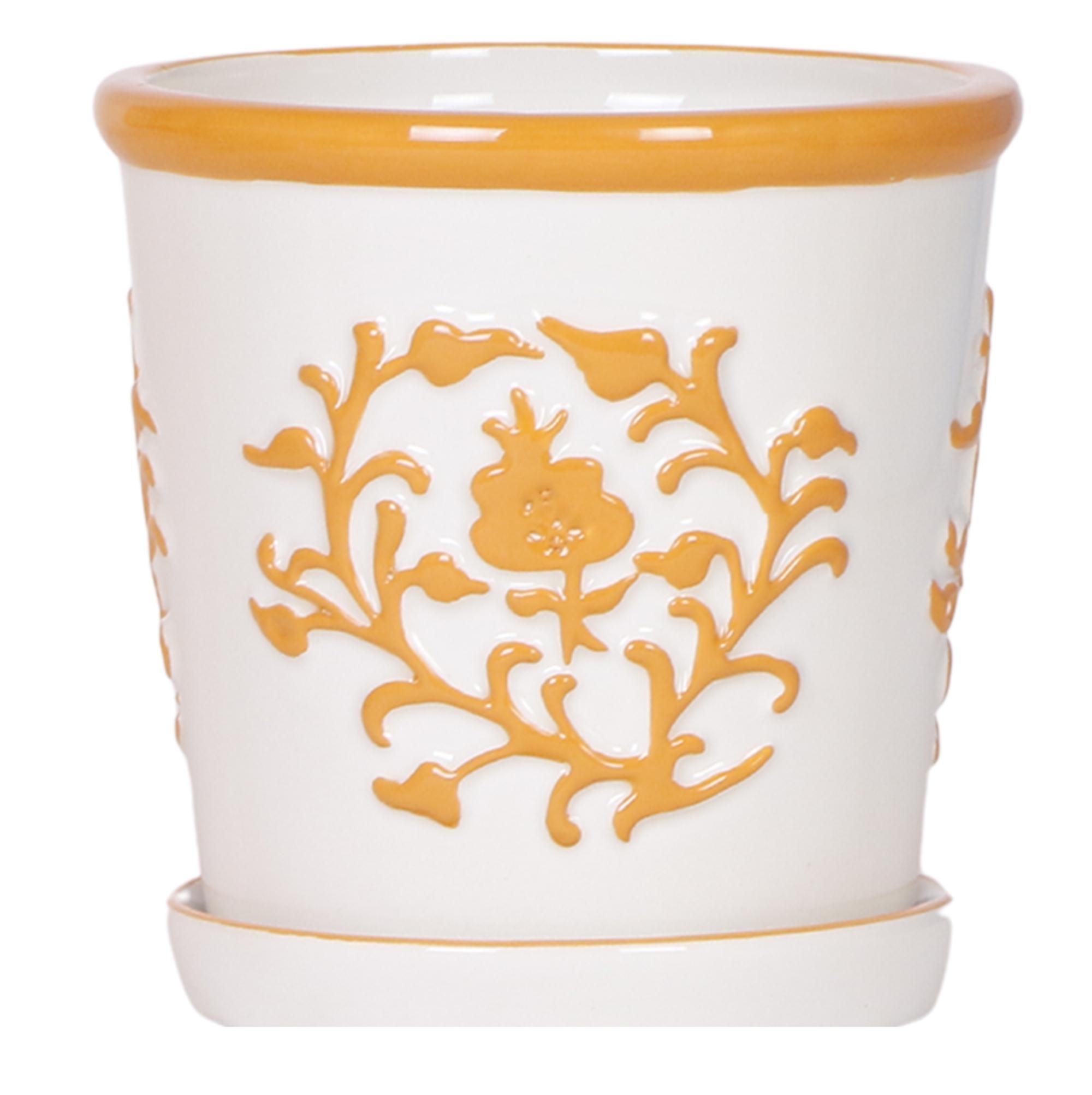Kolibri Home I Malaga pot en pot Ø12cm. Plante verte type Kolibri Home I Malaga pot, livrée en pot, idéale pour intérieur lumineux.