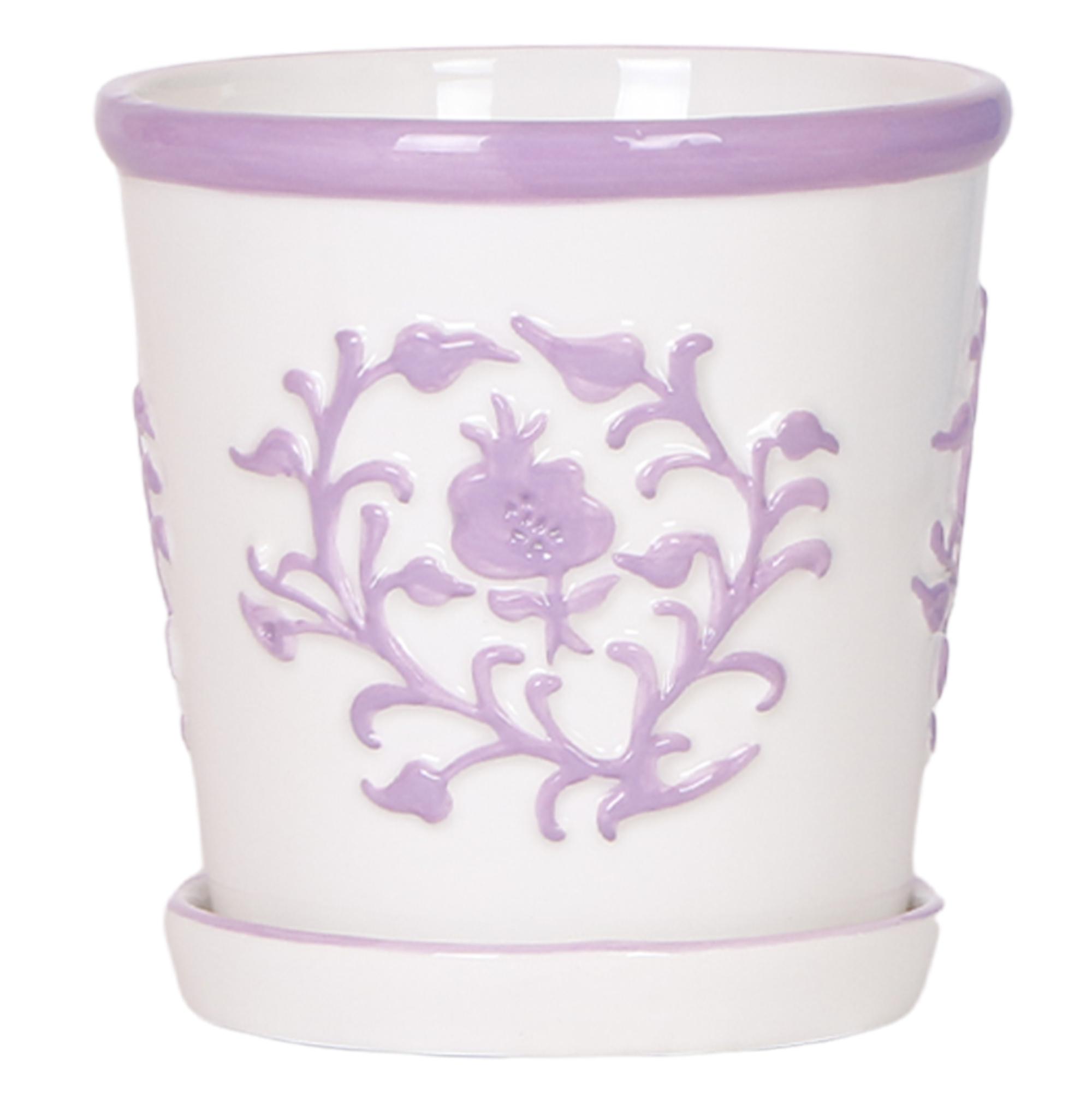 Kolibri Home I Malaga pot en pot Ø12cm. Plante verte type Kolibri Home I Malaga pot, livrée en pot, idéale pour intérieur lumineux.