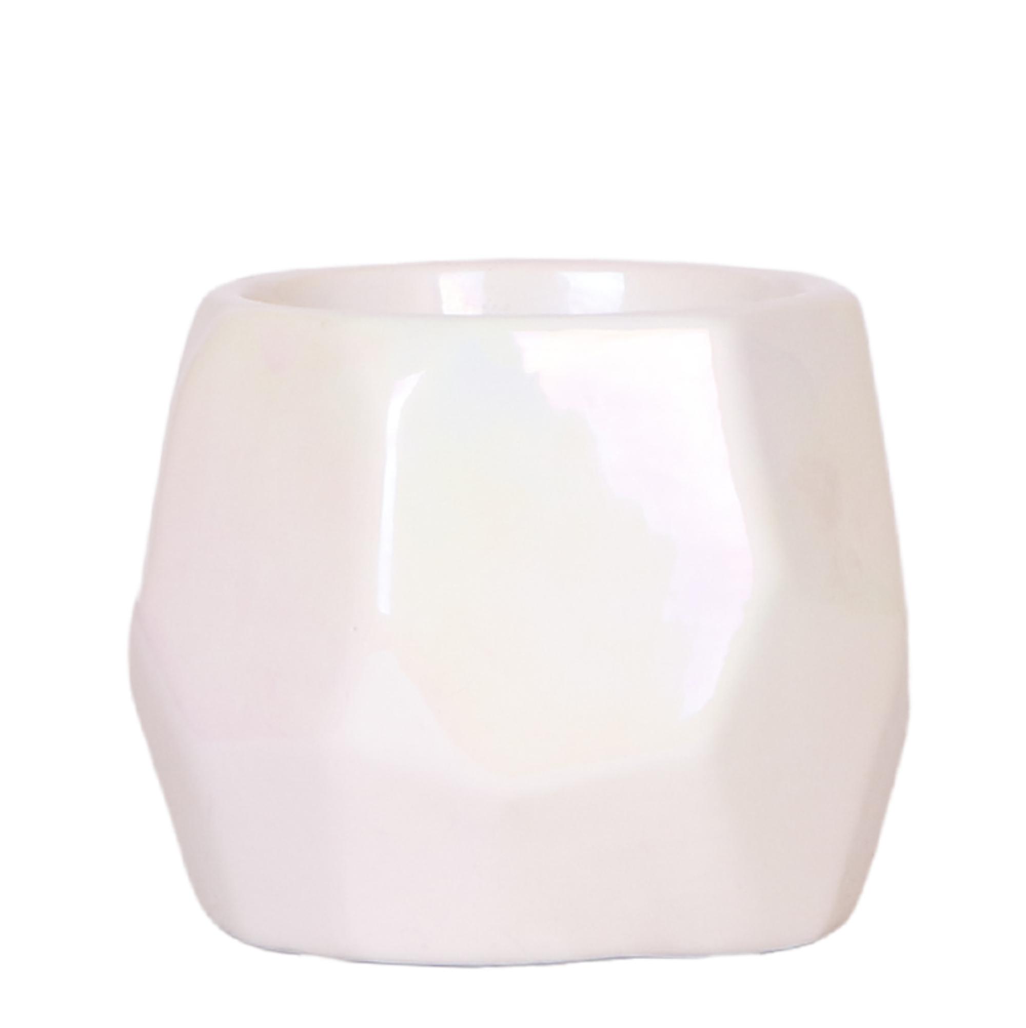 Kolibri Home I Pearl pot en pot Ø9cm. Plante verte type Kolibri Home I Pearl pot, livrée en pot, idéale pour intérieur lumineux.
