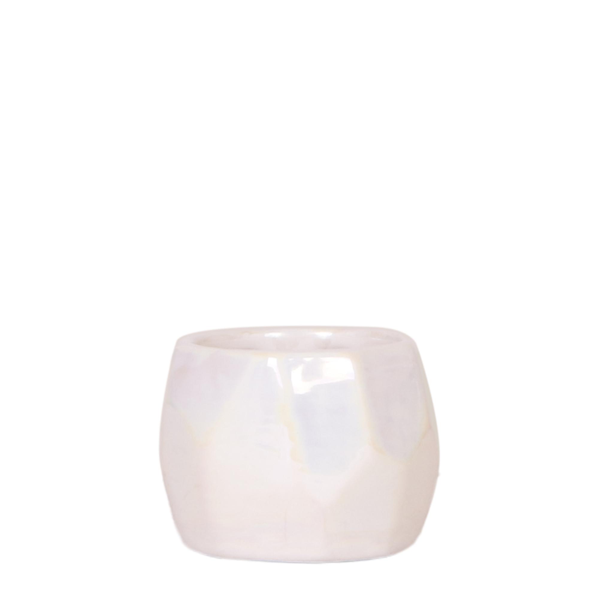 Kolibri Home I Pearl pot en pot Ø6cm. Plante verte type Kolibri Home I Pearl pot, livrée en pot, idéale pour intérieur lumineux.