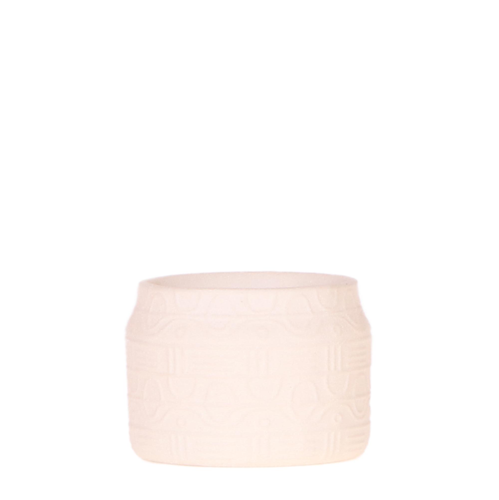 Kolibri Home | Hyroglyph sierpot en pot Ø6cm. Plante verte type Kolibri Home | Hyroglyph sierpot, livrée en pot, idéale pour intérieur lumineux.