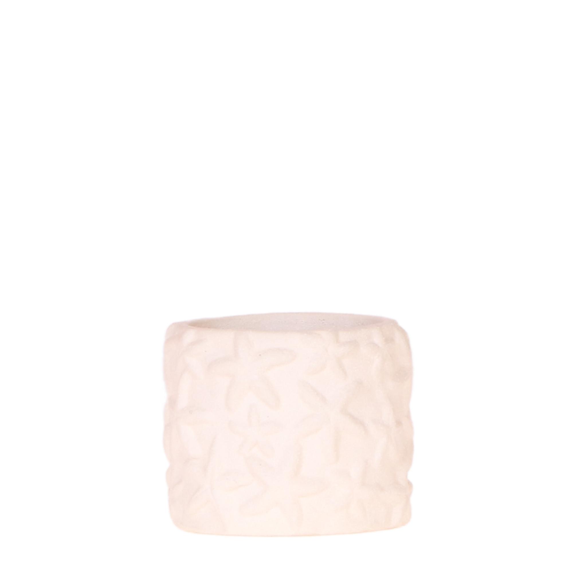 Kolibri Home | Star Fish sierpot en pot Ø6cm. Plante verte type Kolibri Home | Star Fish sierpot, livrée en pot, idéale pour intérieur lumineux.