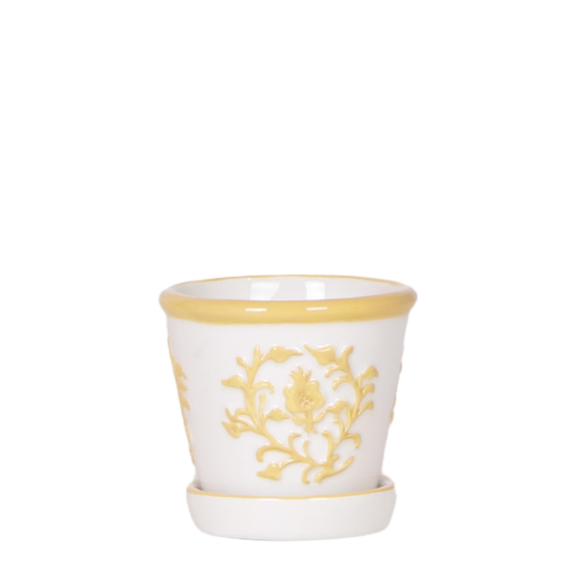 Kolibri Home I Malaga pot en pot Ø6cm. Plante verte type Kolibri Home I Malaga pot, livrée en pot, idéale pour intérieur lumineux.