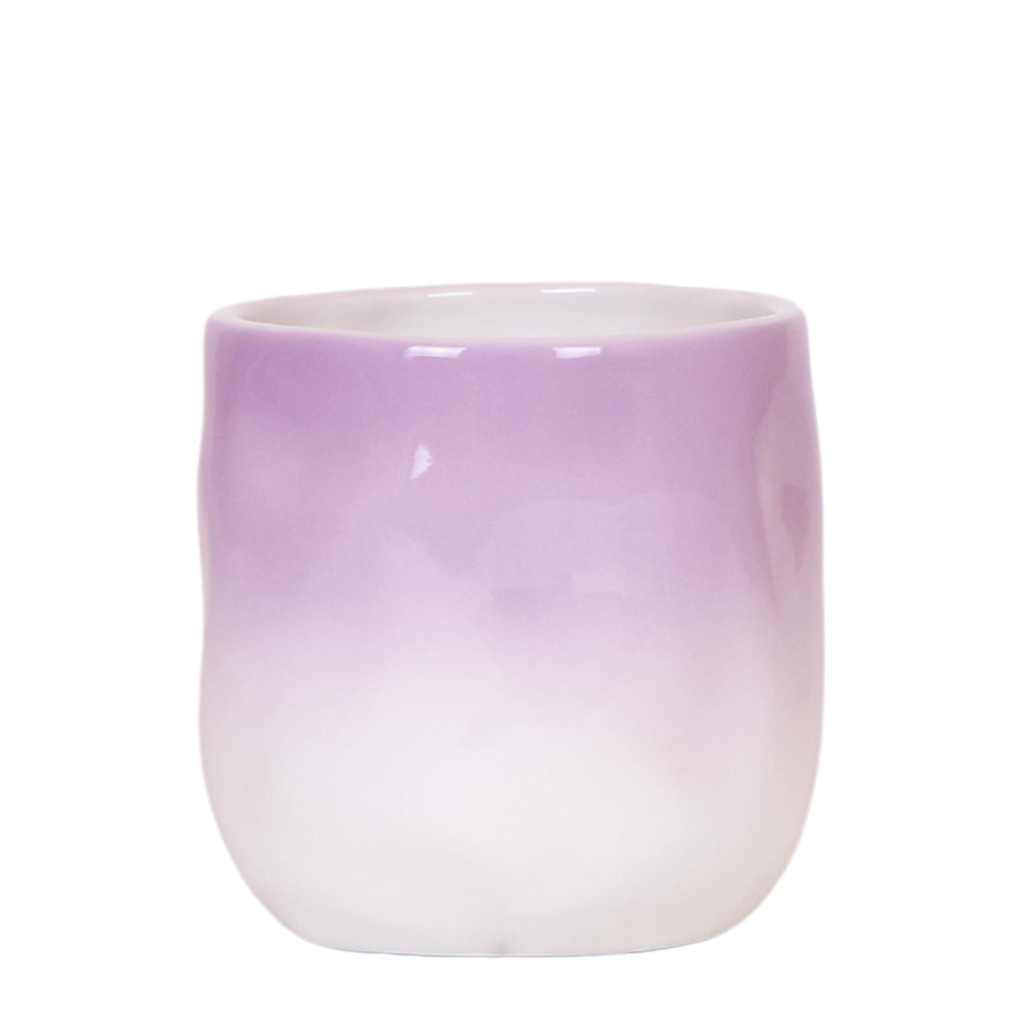 Kolibri Home | Gradience sierpot en pot Ø9cm. Plante verte type Kolibri Home | Gradience sierpot, livrée en pot, idéale pour intérieur lumineux.