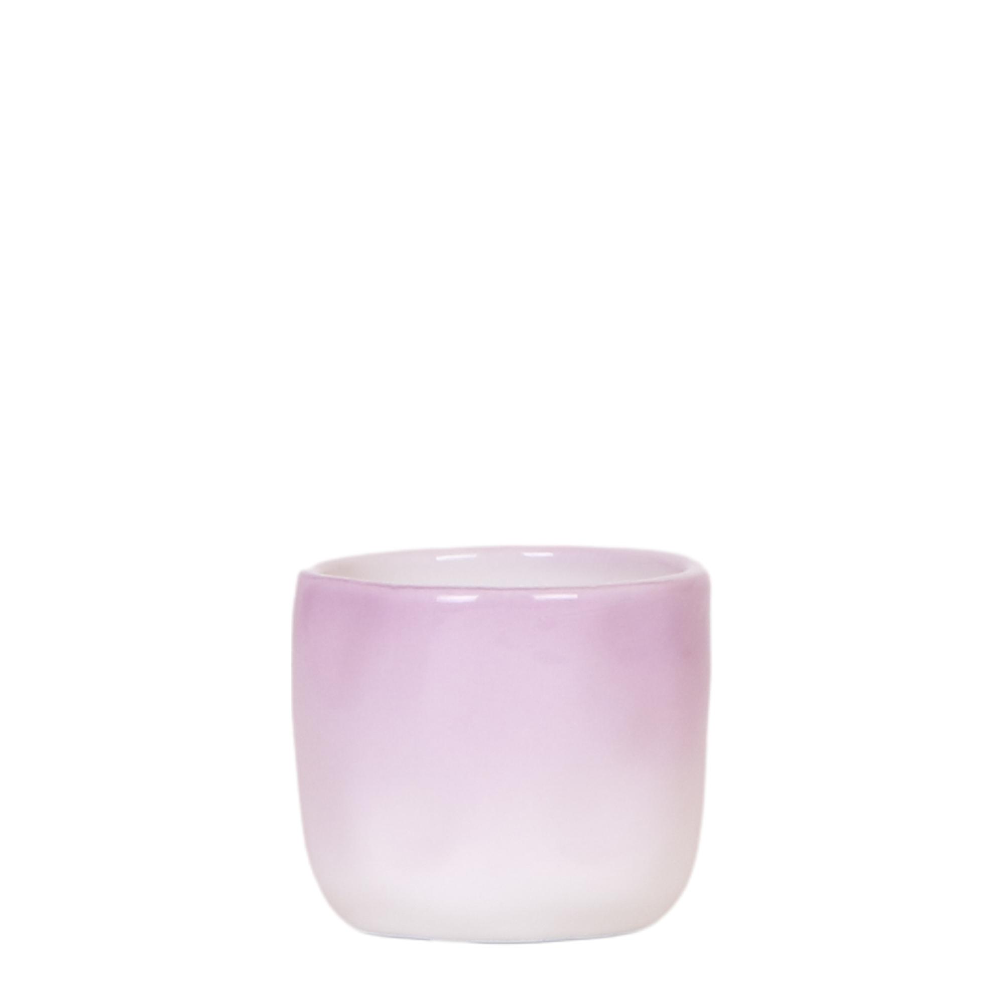 Kolibri Home | Gradience sierpot en pot Ø6cm. Plante verte type Kolibri Home | Gradience sierpot, livrée en pot, idéale pour intérieur lumineux.