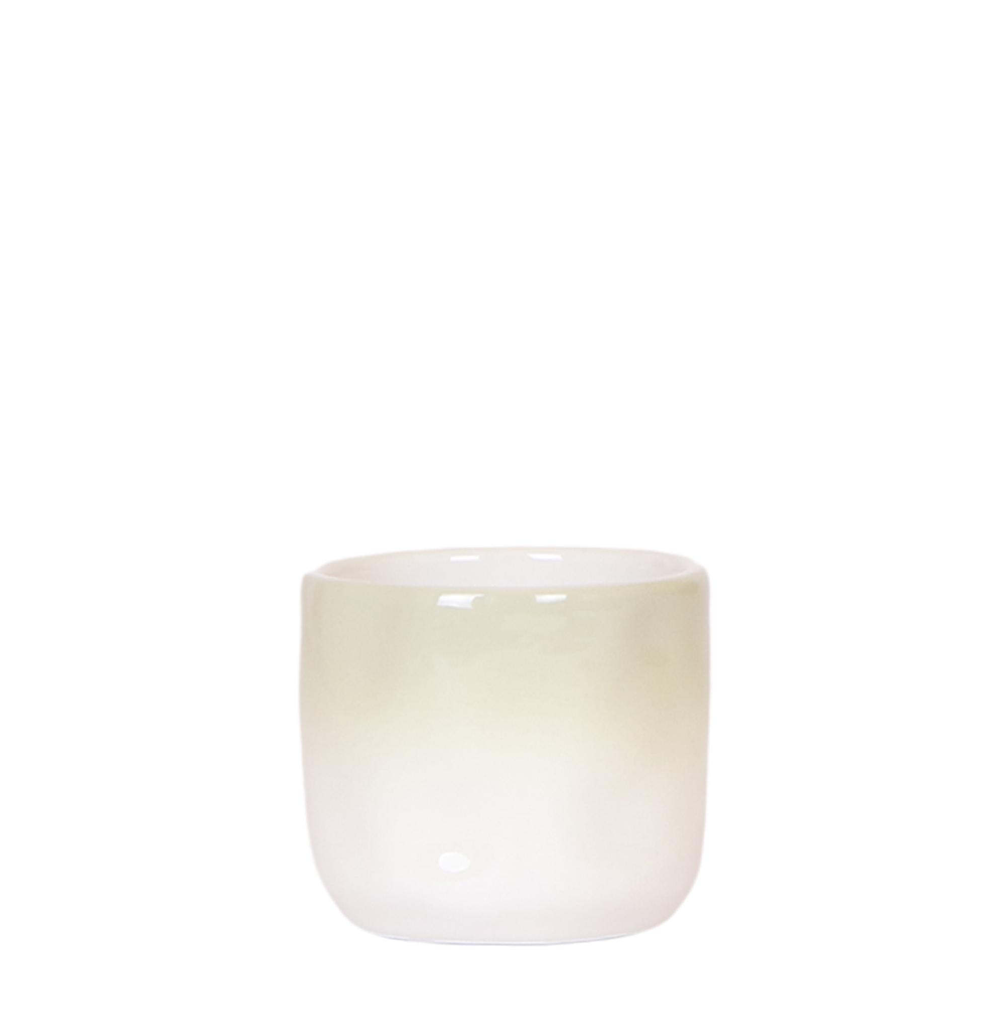 Kolibri Home | Gradience sierpot en pot Ø6cm. Plante verte type Kolibri Home | Gradience sierpot, livrée en pot, idéale pour intérieur lumineux.
